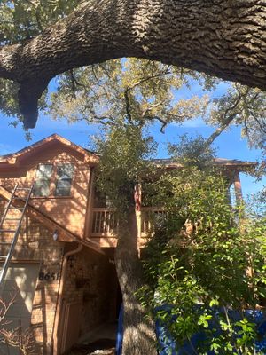 Project in Austin