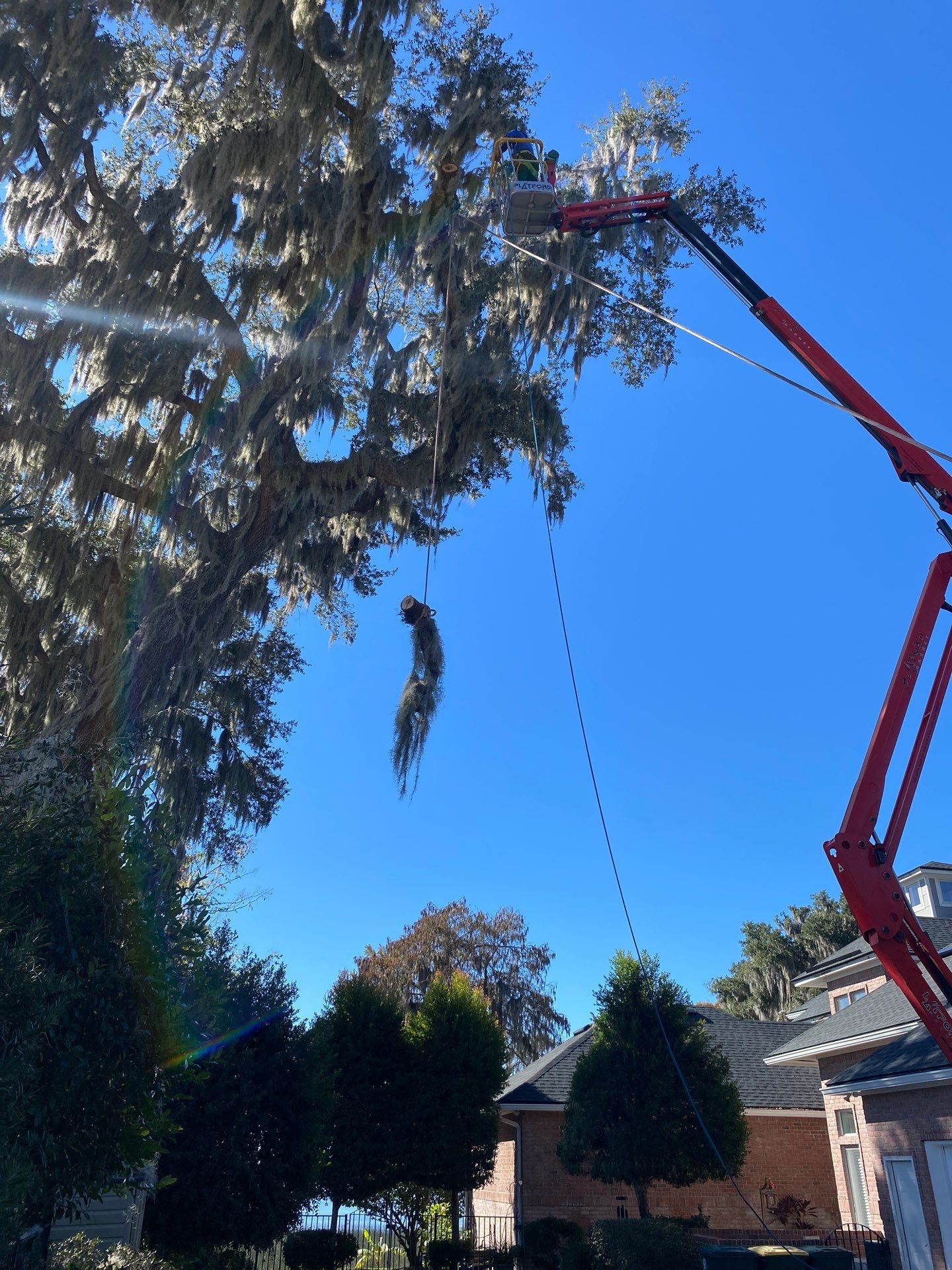 Residential | Tree Service by ProGreen Services