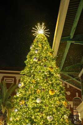 Centro Ybor Tower Tree