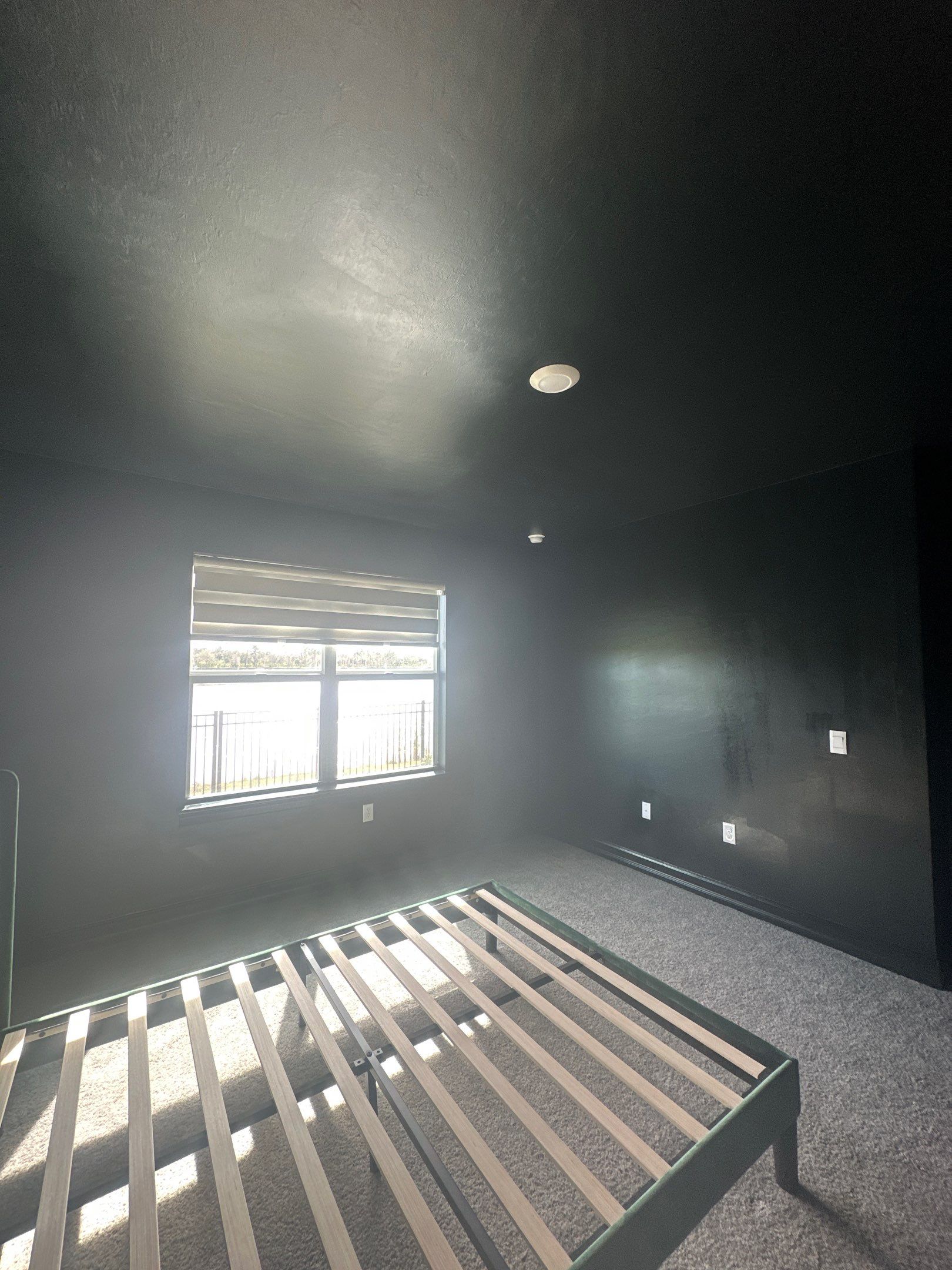 Rose Sadowski - Interior by Fresh Coat Painters