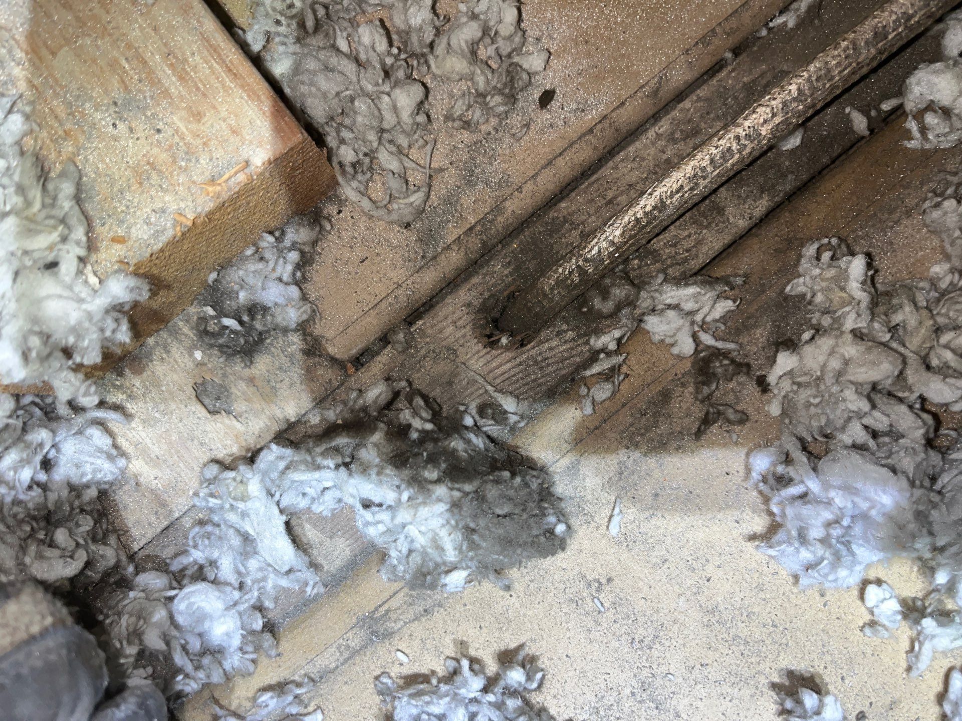 Attic Insulation and Air Sealing Upgrade in Castle Shannon by Home Environment Solutions