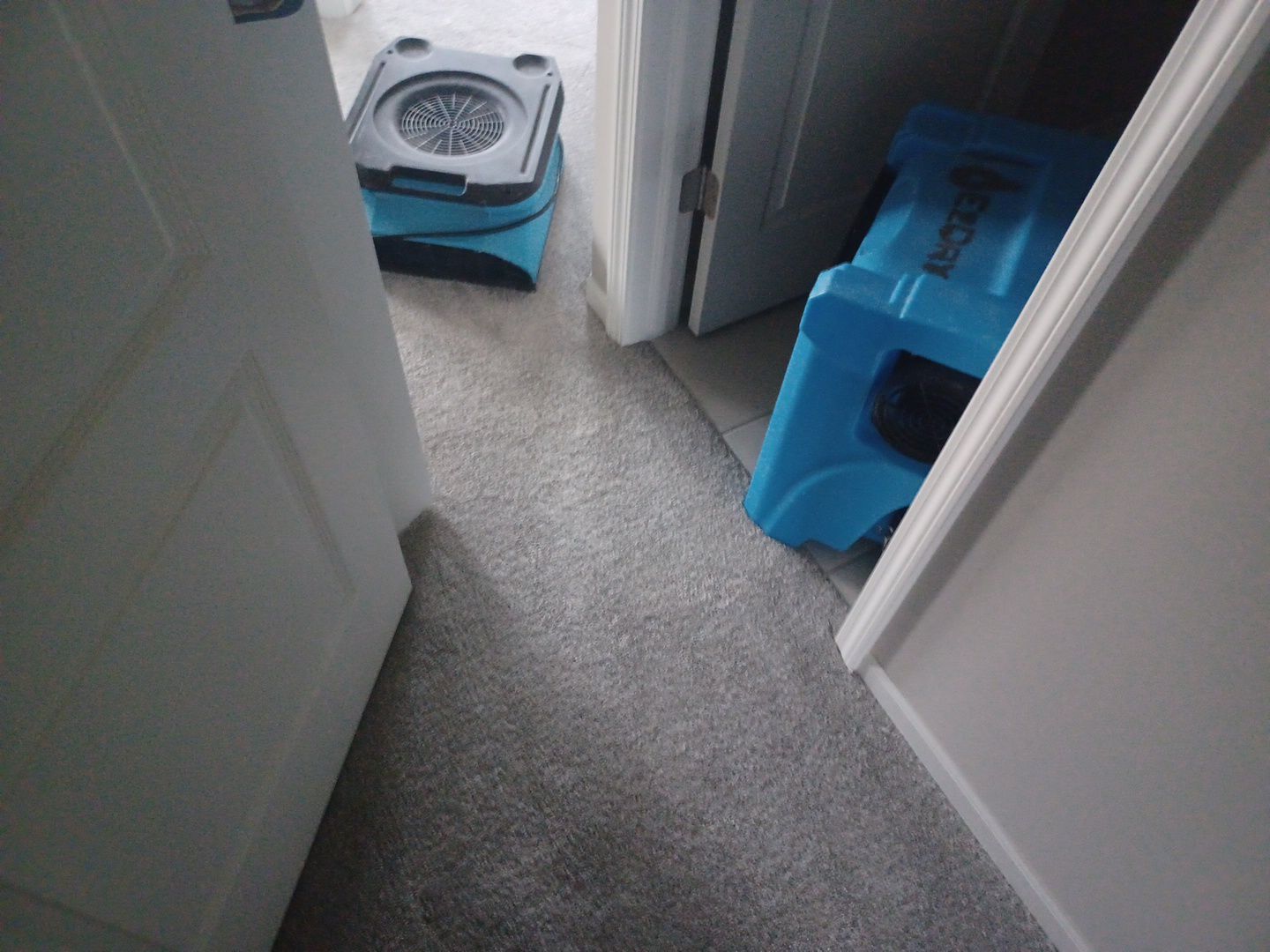 Project in Novi by EzDry Water Mitigation & Property Restoration