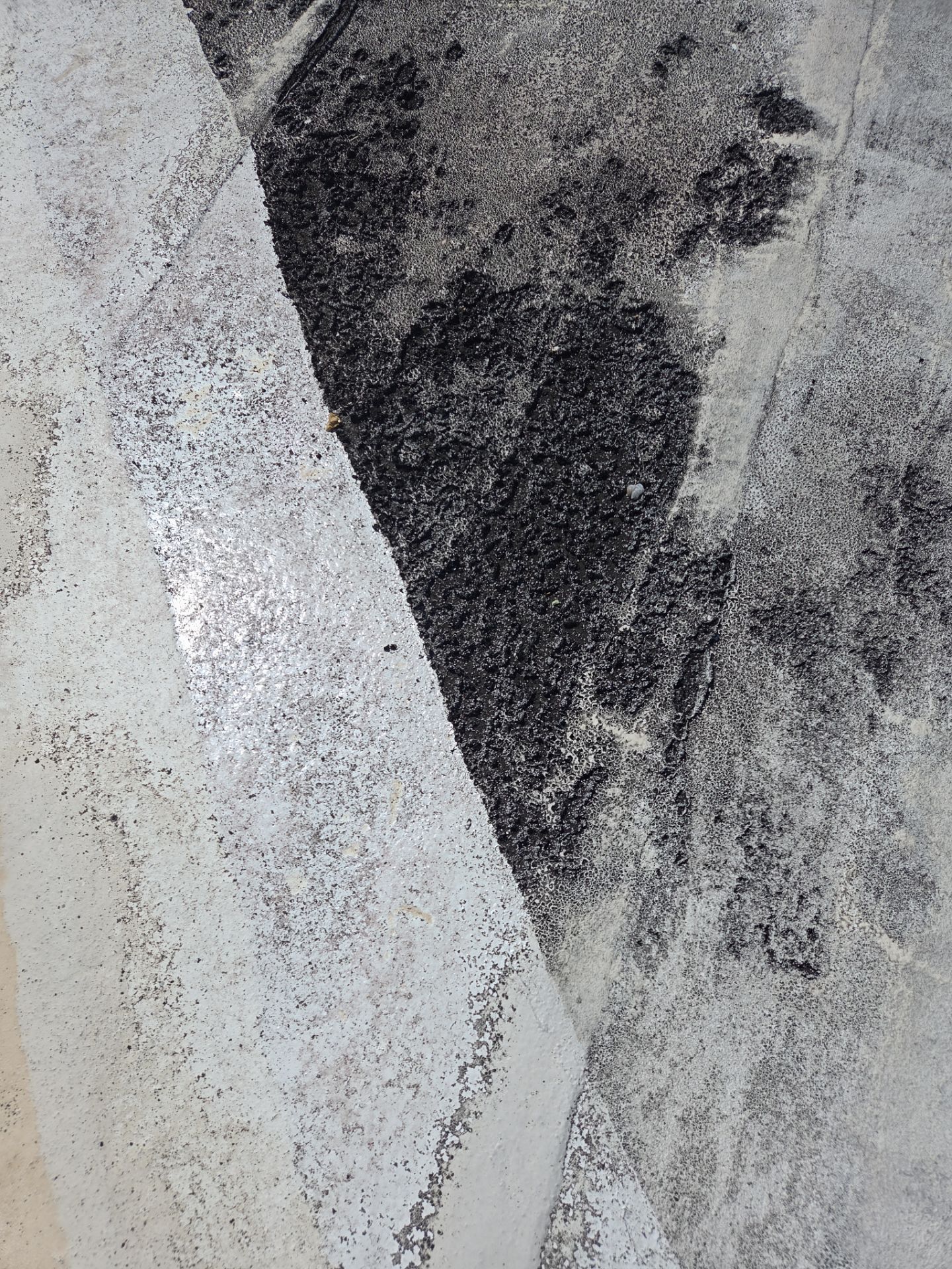 Flat Roof Restoration and Silicone Coating in Boca Raton by Aastro Roofing