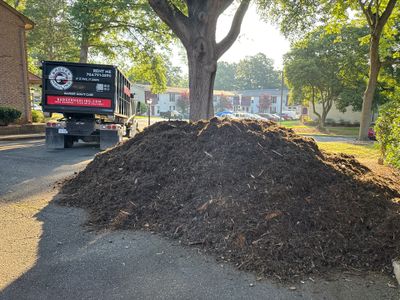 Project in Charlotte