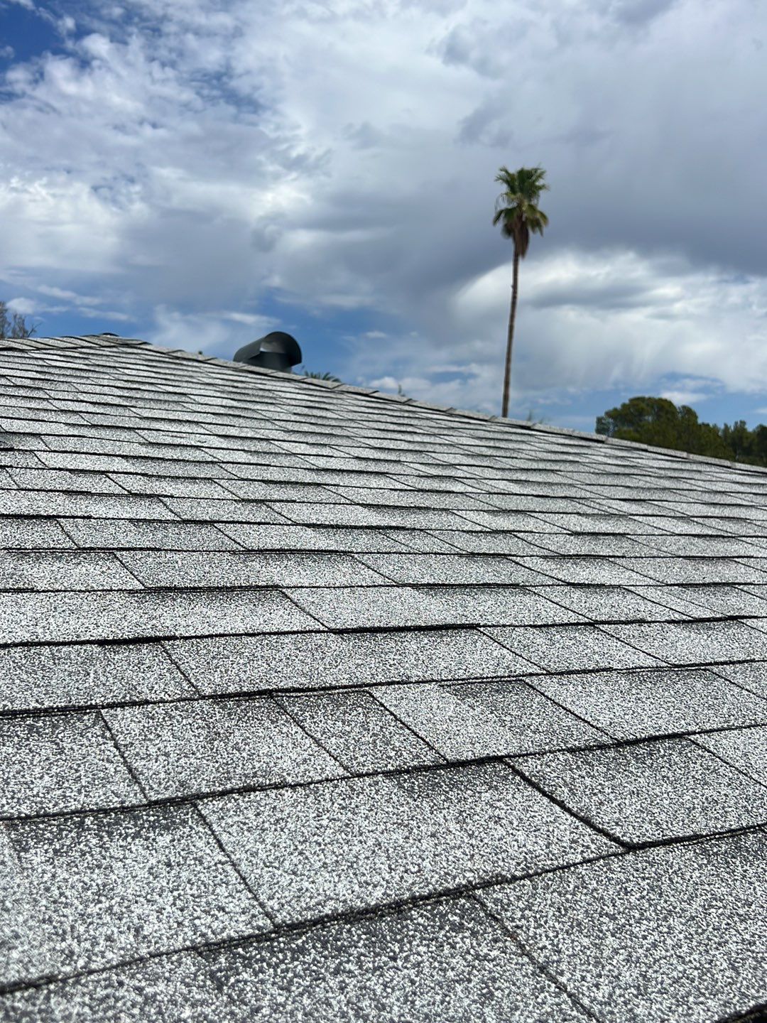 Silver Birch Shingles by Reimagine Roofing