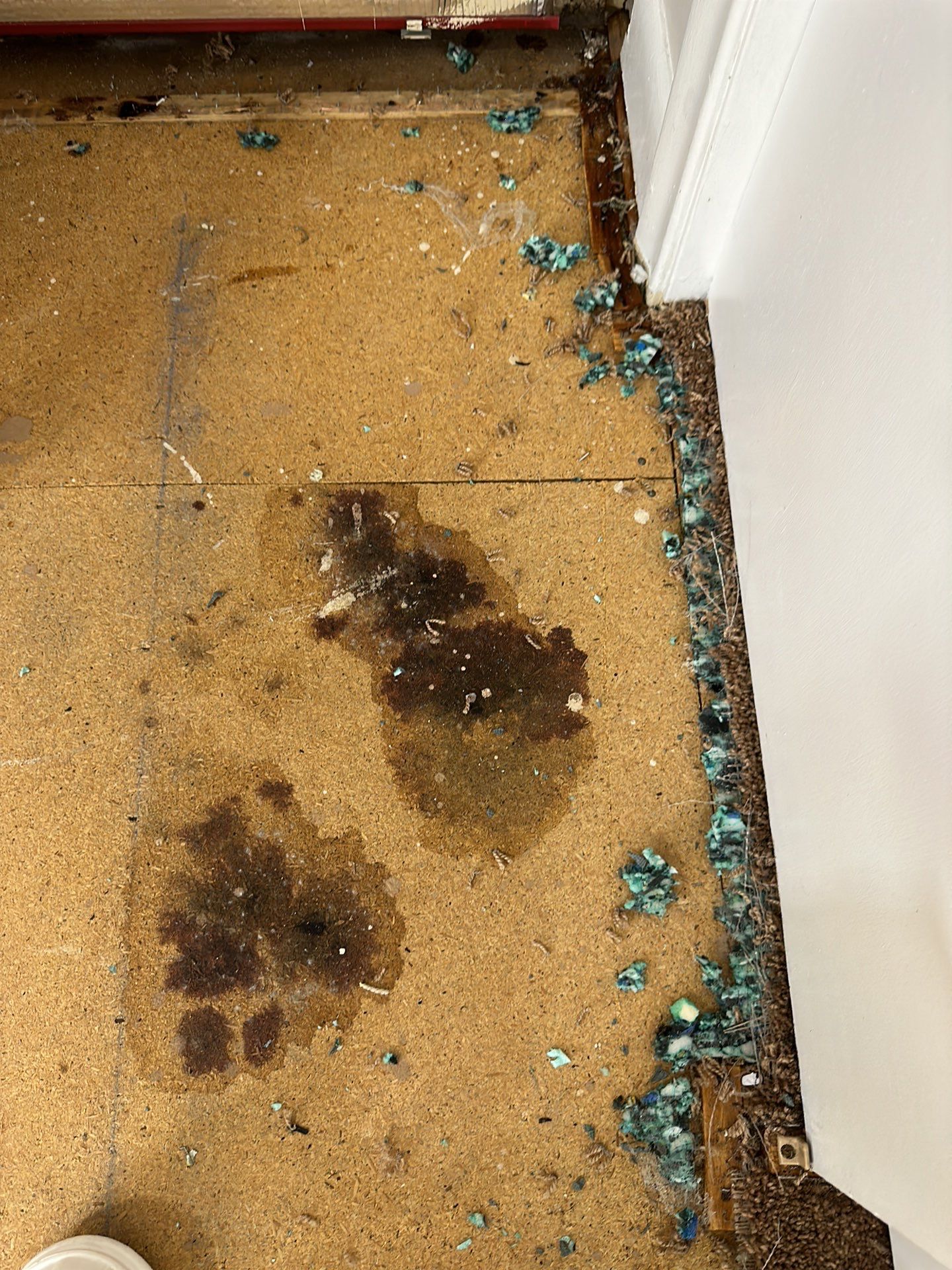 Murder / Suicide Cleanup in Hartford by Sadie’s Pro Cleaning