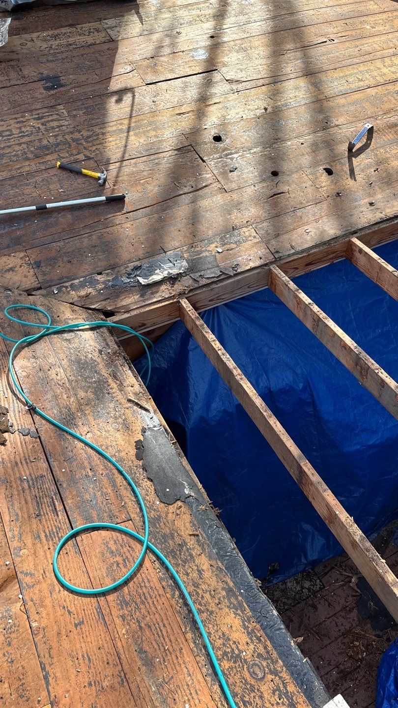 Willa Holmstock by NuLead Construction Inc