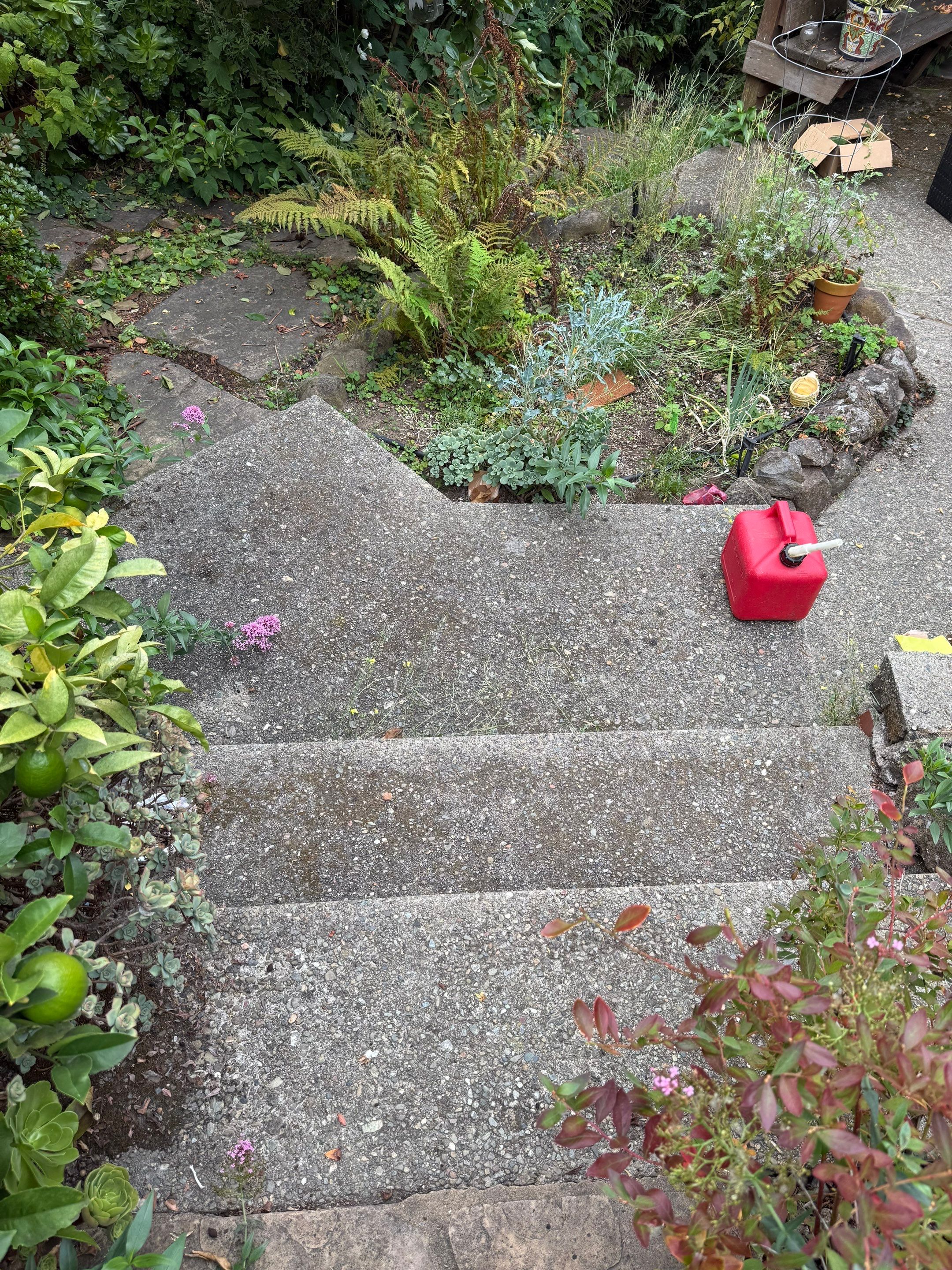 Full back garden refresh by SpotFree Window Cleaning