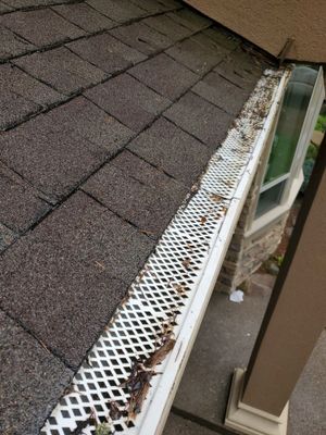 Gutter Clean using Moderate Pressure