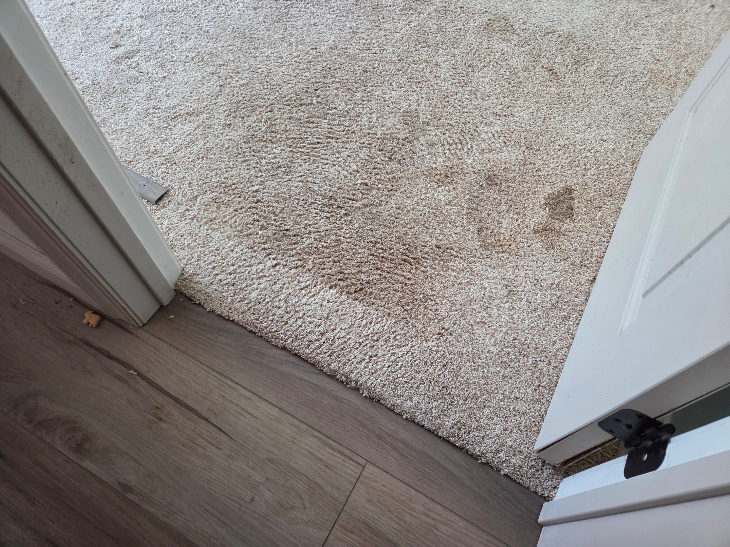 Carpet Repair in Shingle Springs by Ardent Carpet Restore LLC