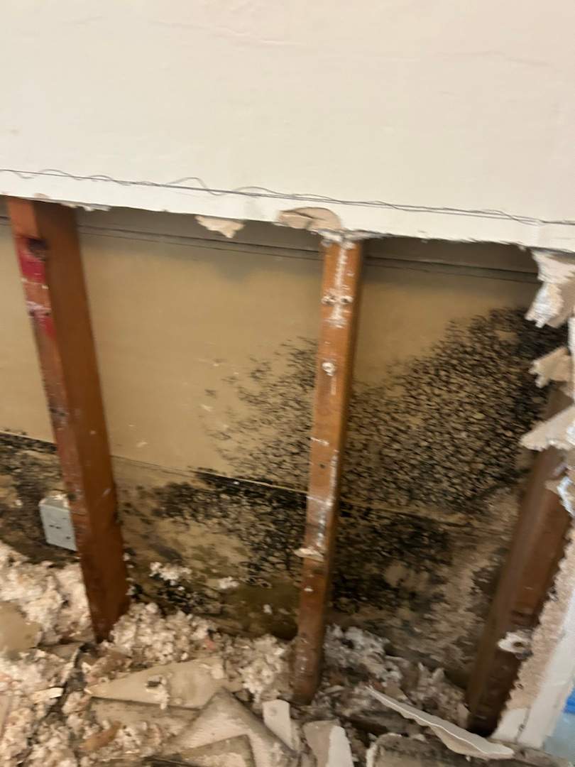 Project in Tamarac by You Restorations LLC DBA YOU-Home