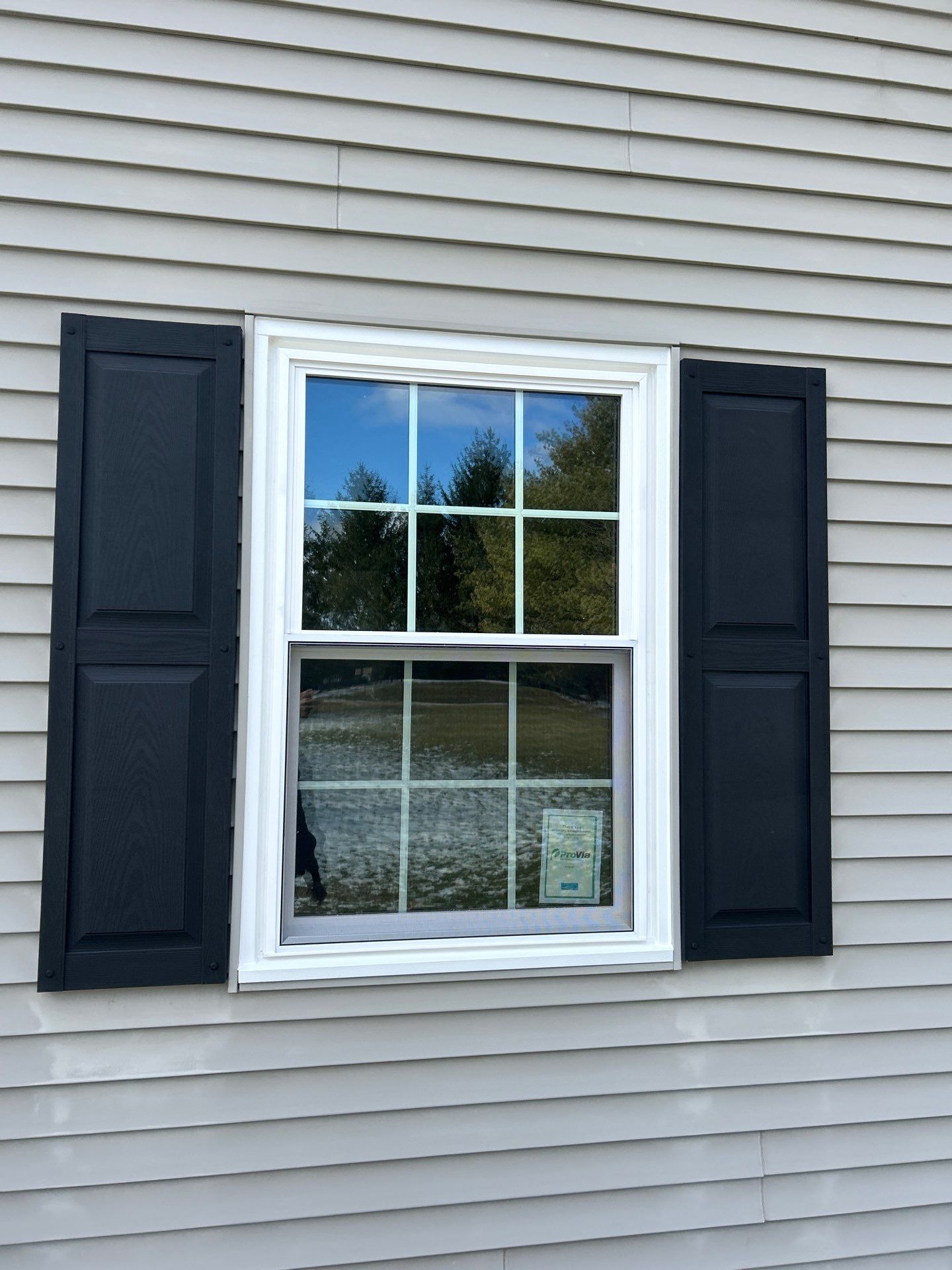 Windows in Louisville by Ohio State Windows