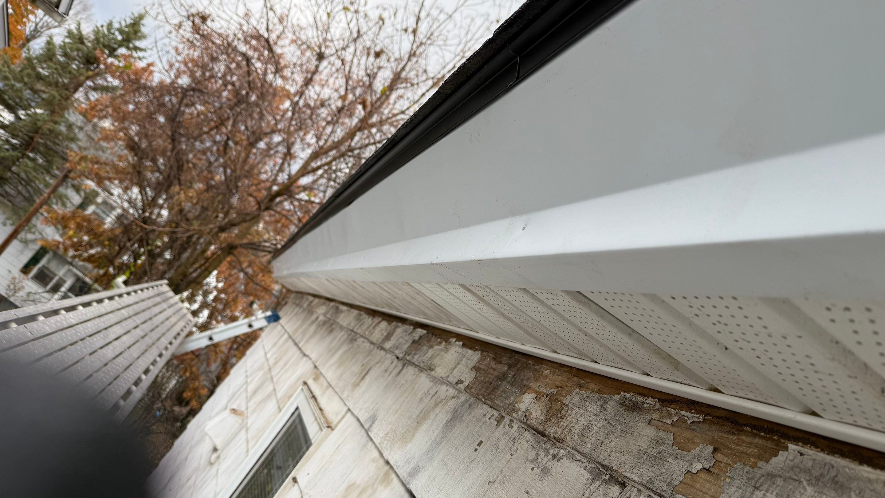 Owens Corning Oakridge: Onyx Black in Middletown by Golden Shield Roofing