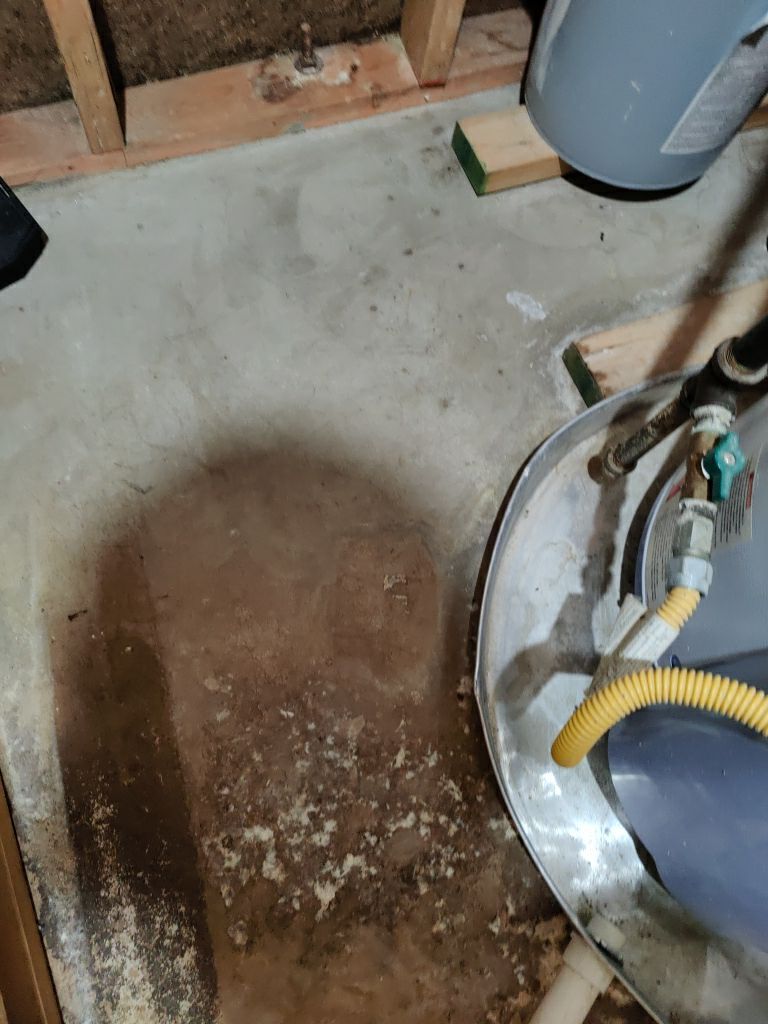 Sewage Backup Cleanup by Accountable Home Services