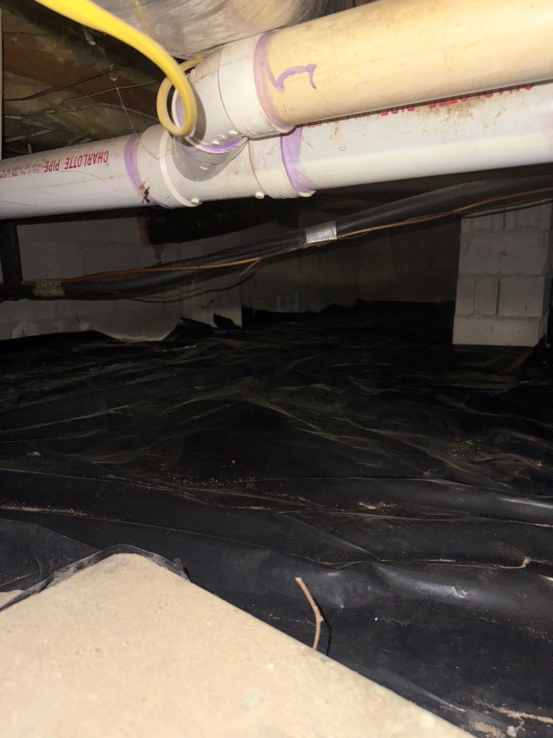Rehoboth Beach VFW Indoor Air Restoration & Basement Mold Remediation by Healthy Home Solutions
