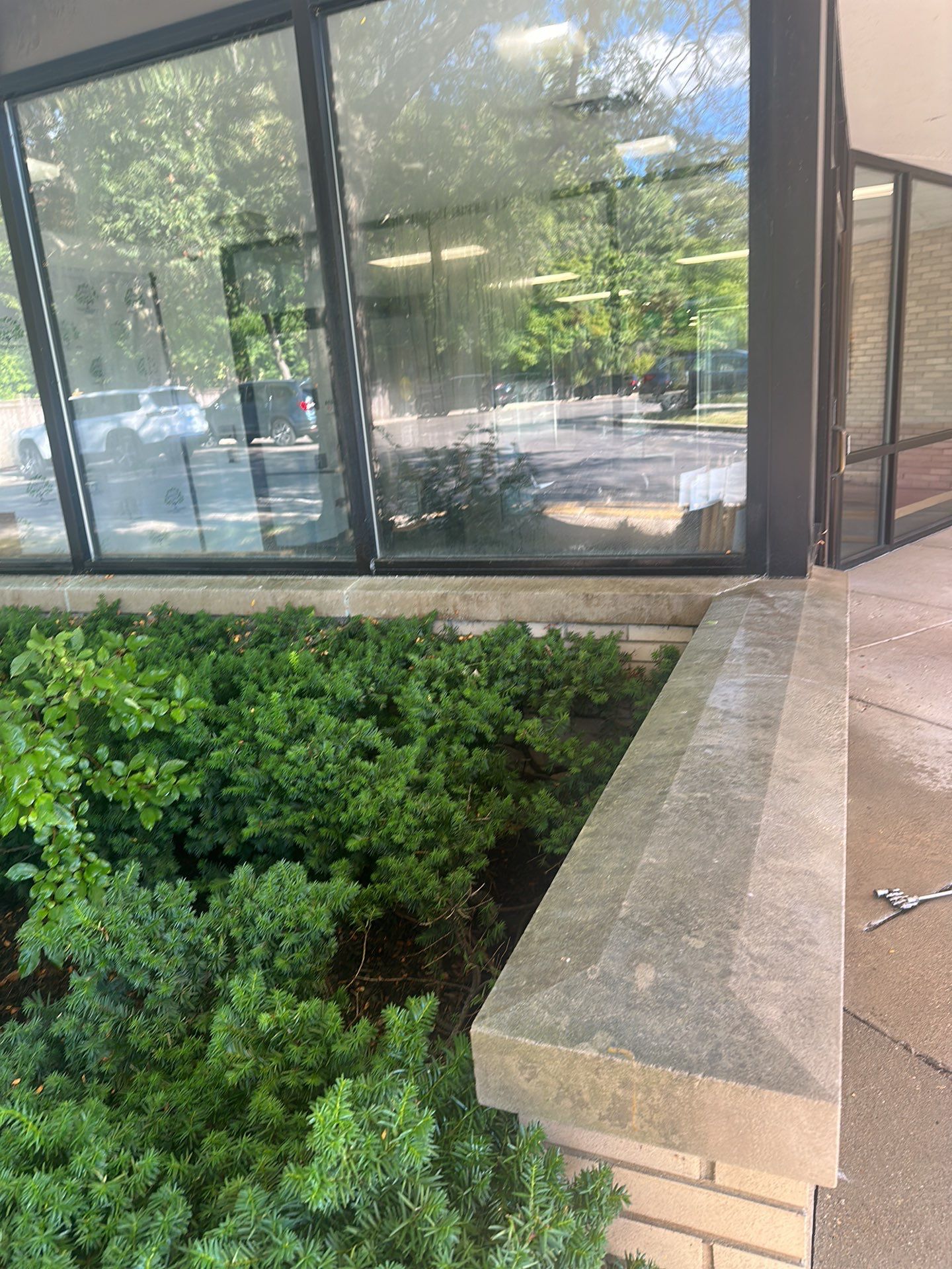 commercial pressure washing using Algaecide, soft wash soap by Northern Power Washing LLC.