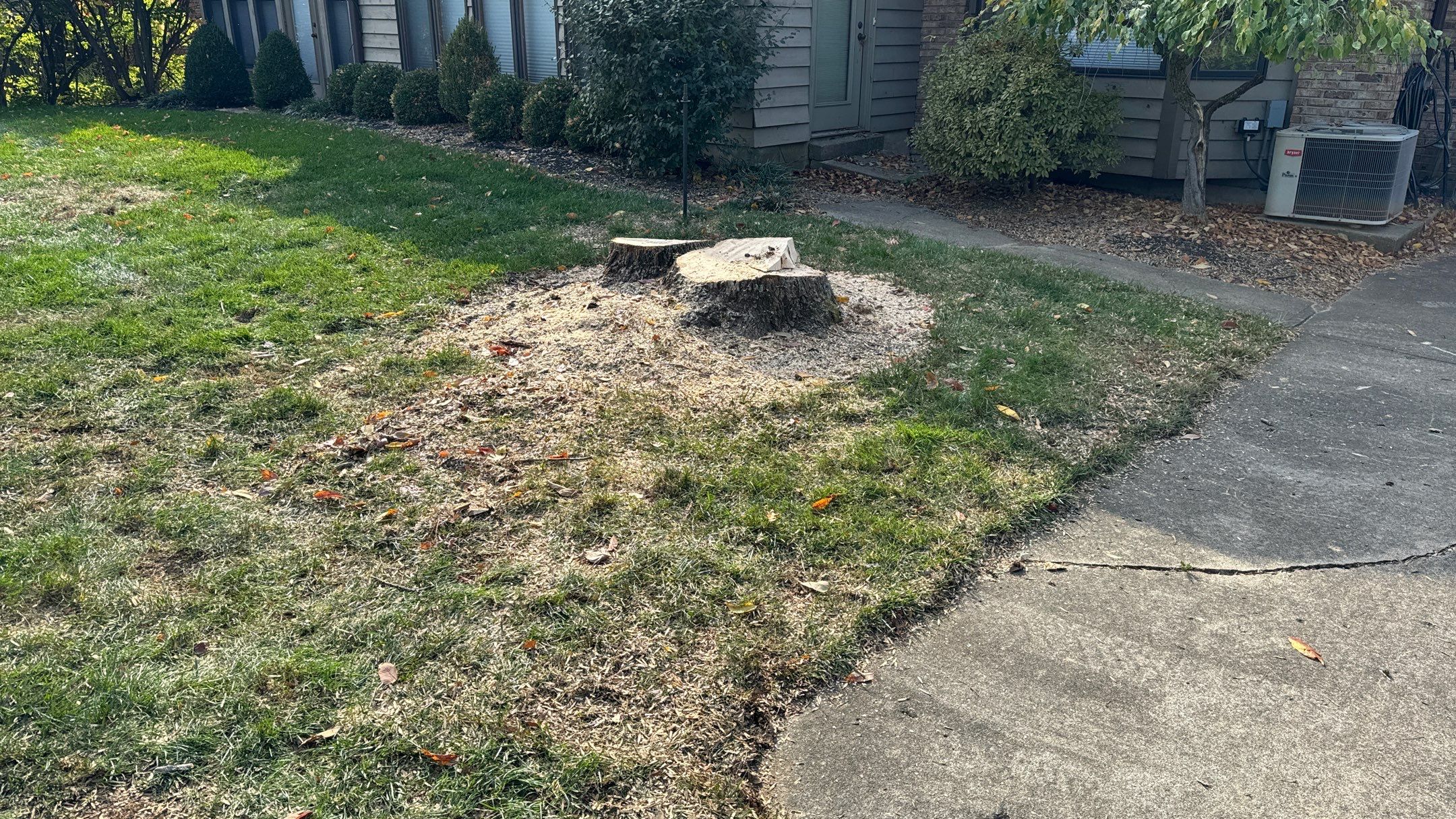 Turf Restoration using LEED Certified Sod by Reisenberg’s Lawn & Landscape, LLC