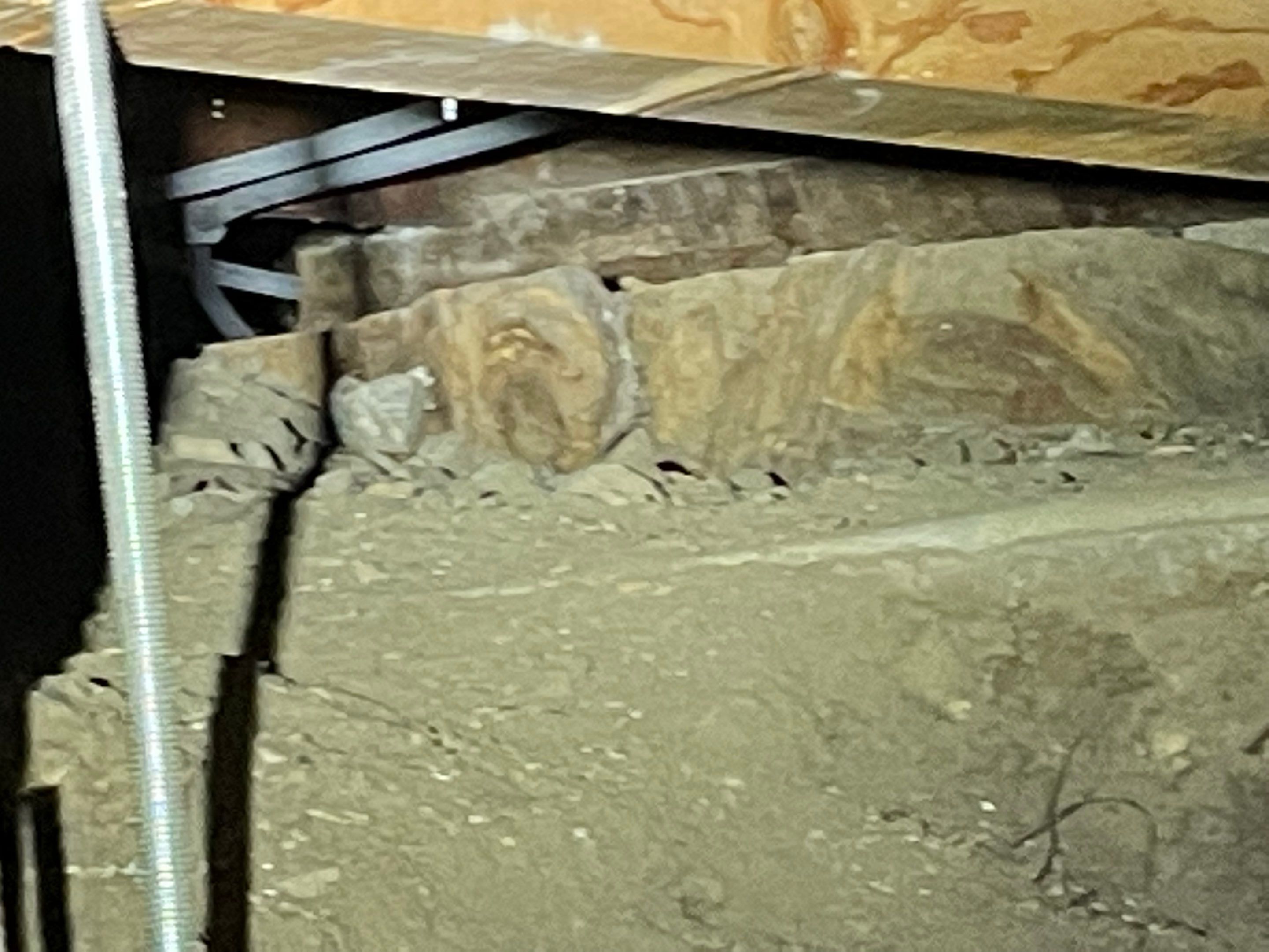 Wood Destroying Organisms Report by GLOBAL Termite Solutions