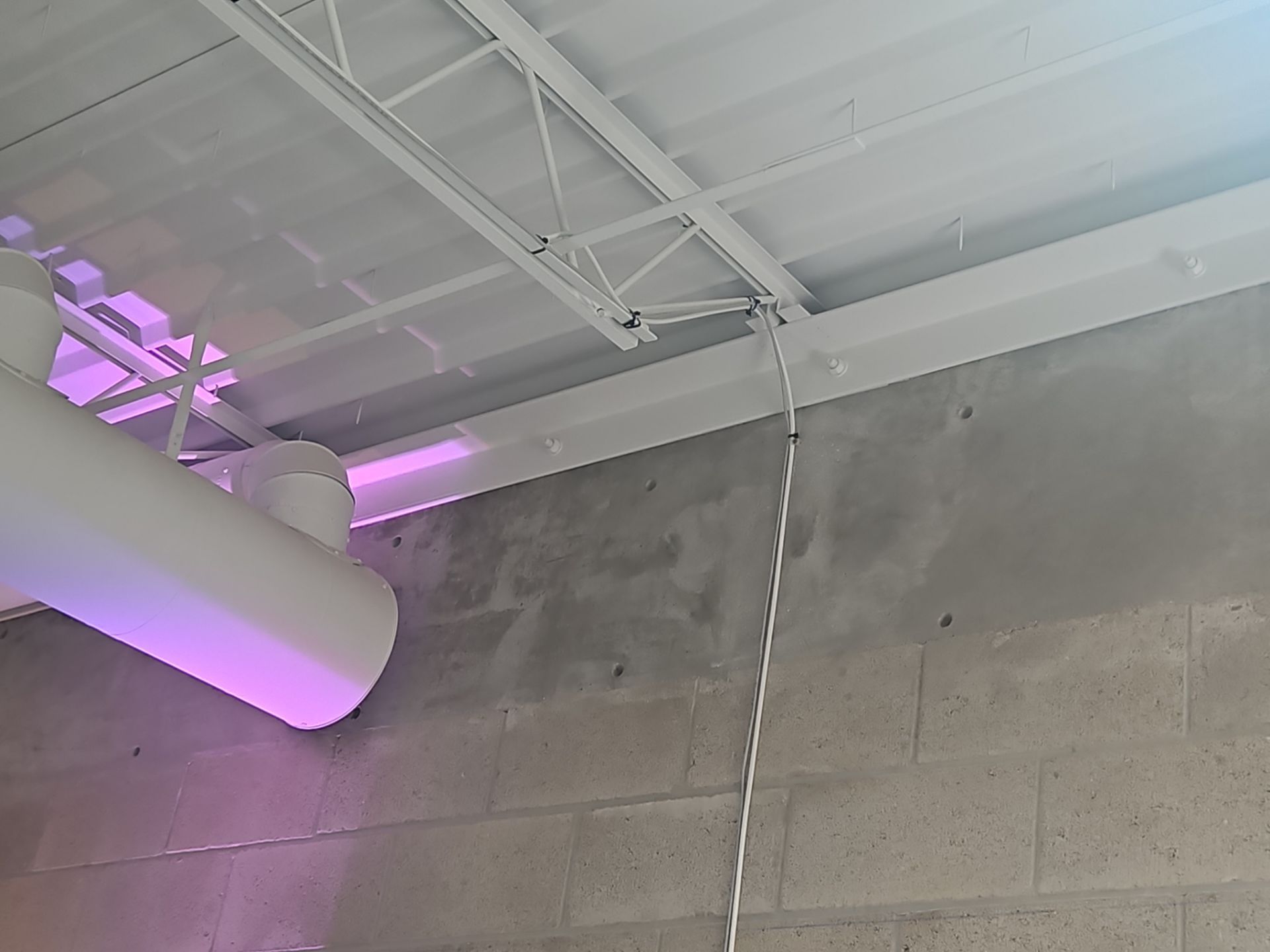 Commercial Mold Removal  by Ampm Restoration Services 