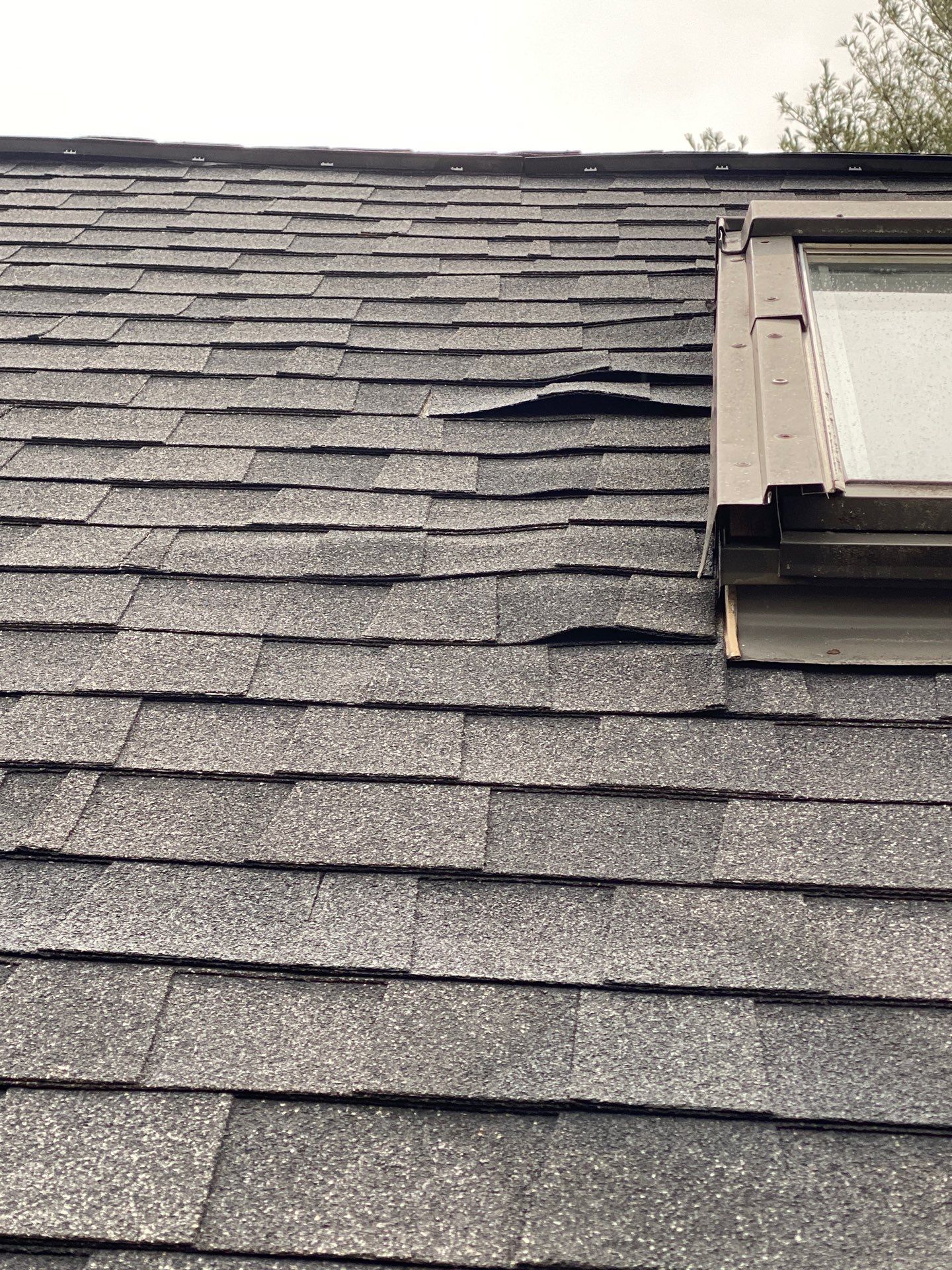 Skylights | Littleton by Mighty Dog Roofing of Greater Middlesex County