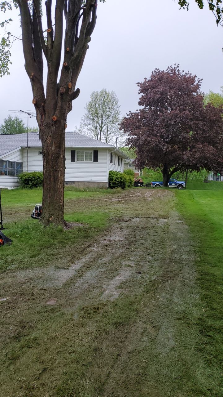 Tree Removal using Tree Removal by Mike Jones & Sons Tree Service LLC 