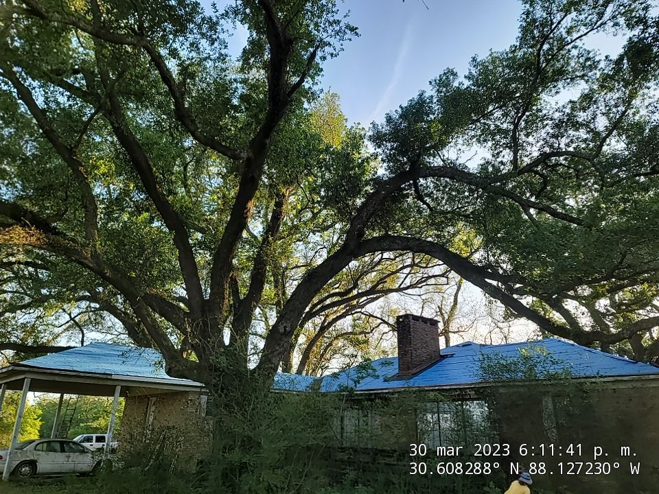 Fortified Roof by American Roofing & Construction LLC