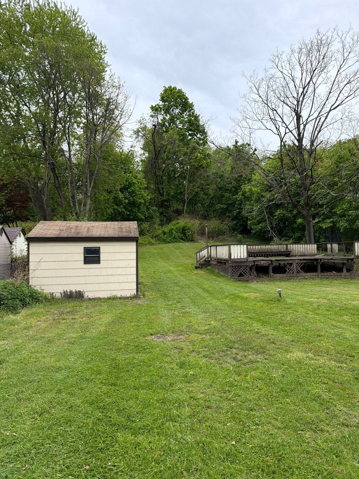 Residential Lawn Maintenance and Professional Mowing in East Haven by Diamond Image LLC