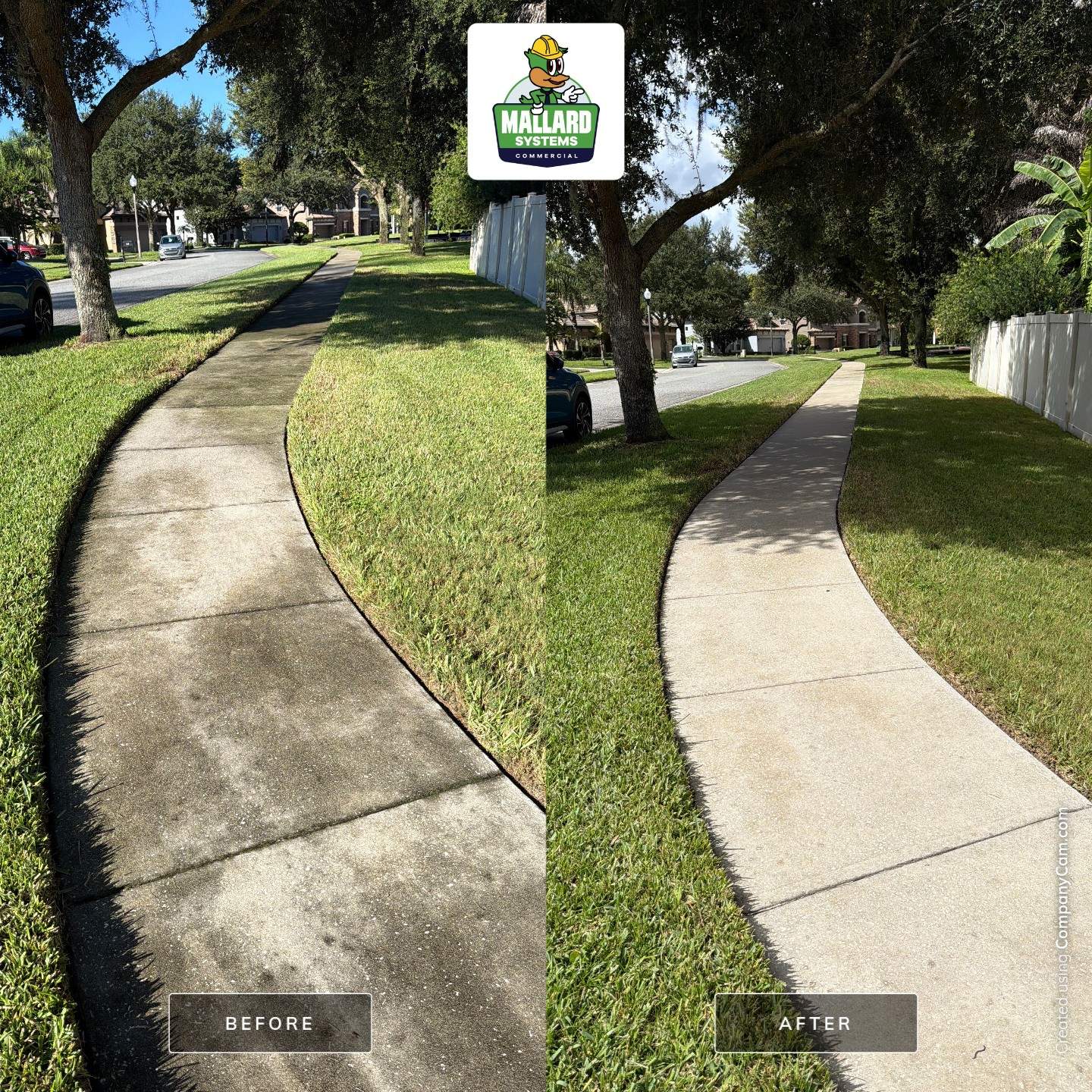 Tile Roof and Concrete Cleaning in Gotha by Mallard Systems