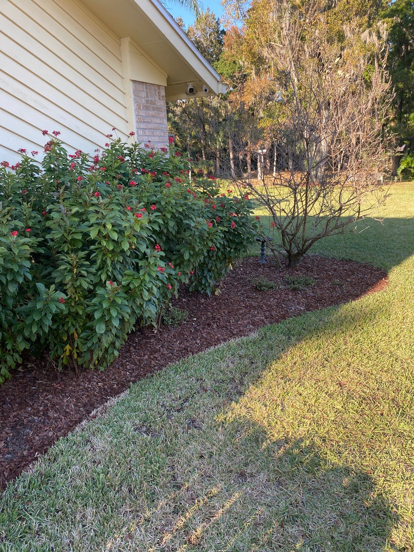 Deerwood Resident | Extreme Clean Up by ProGreen Services