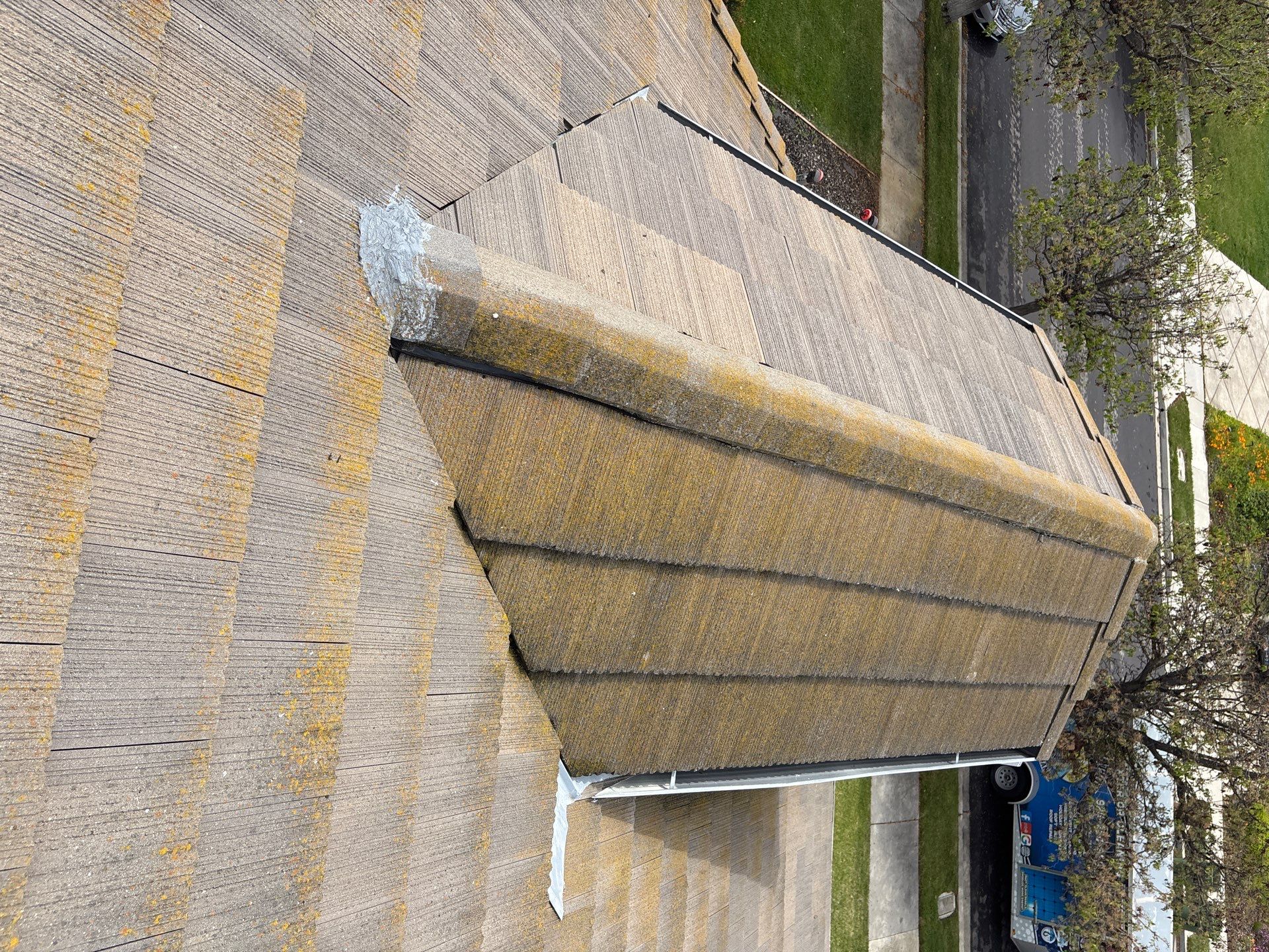 Moss Removal by Top Elevation