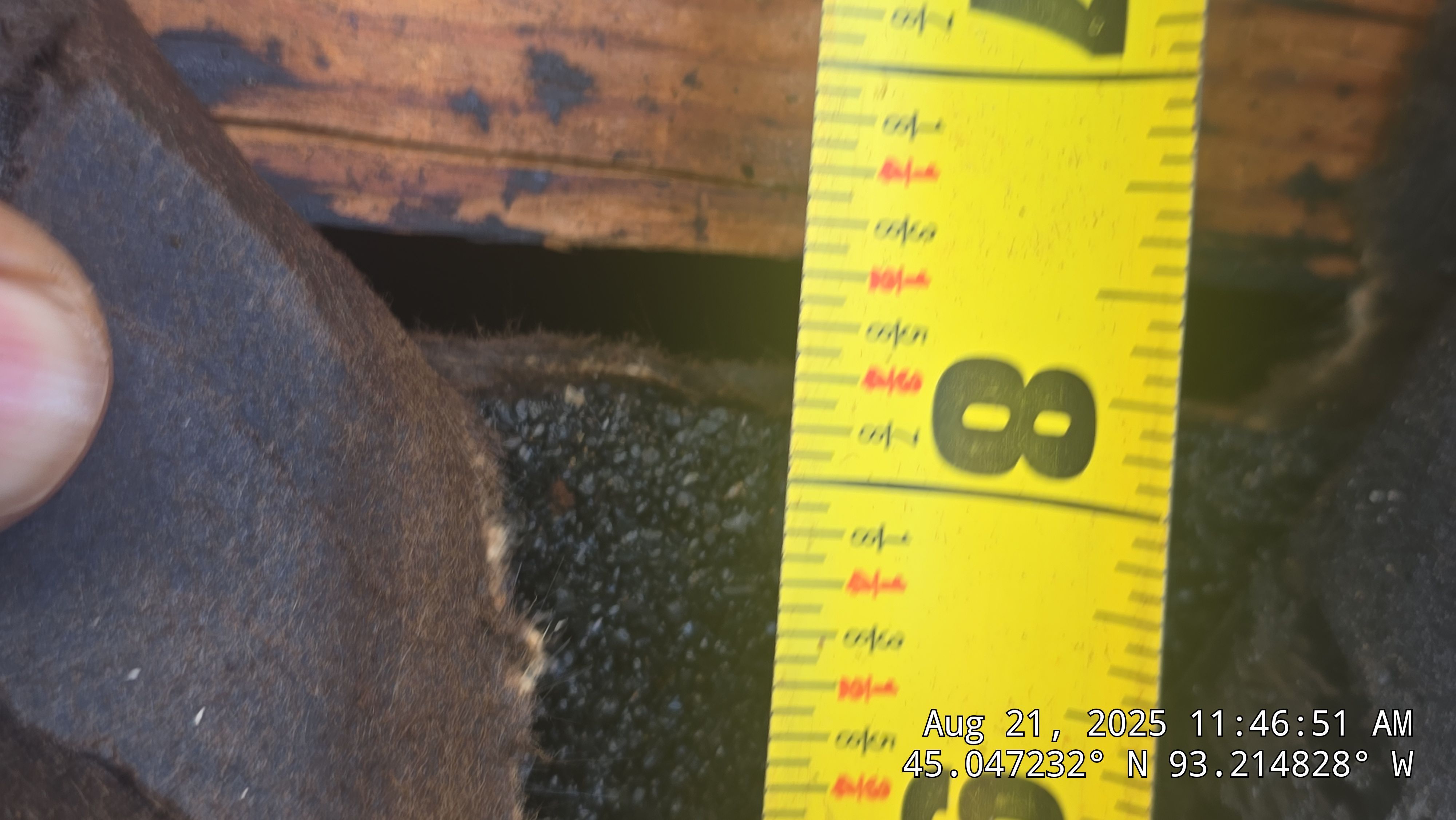 Sellers Roofing Company featured photo.