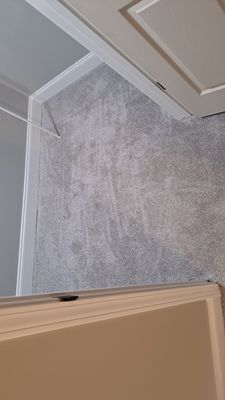 Project in Bartlett