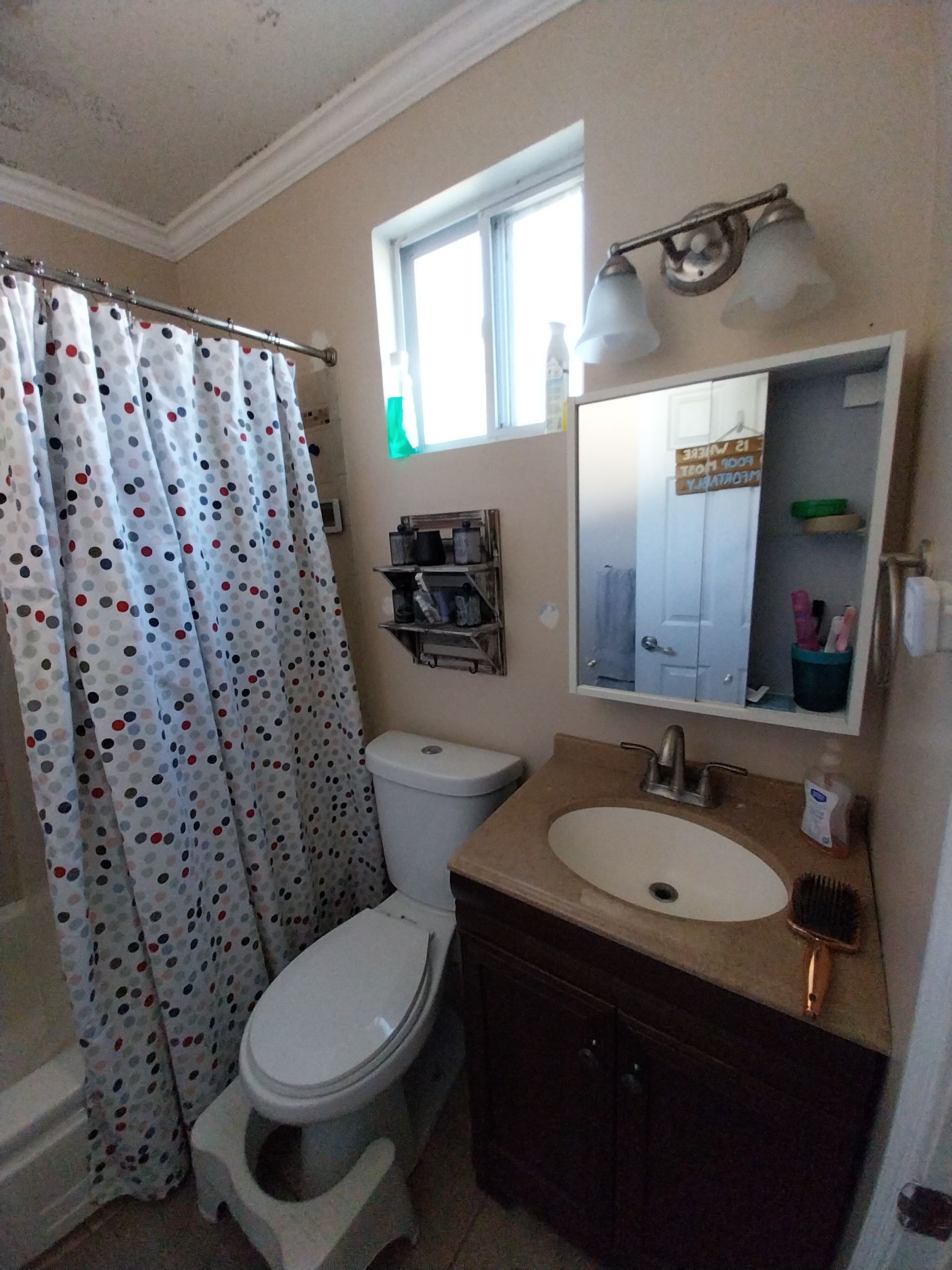 Bathroom Remodel using Sherwin Williams Premium ceiling paint by Laser Focused Solutions LLC