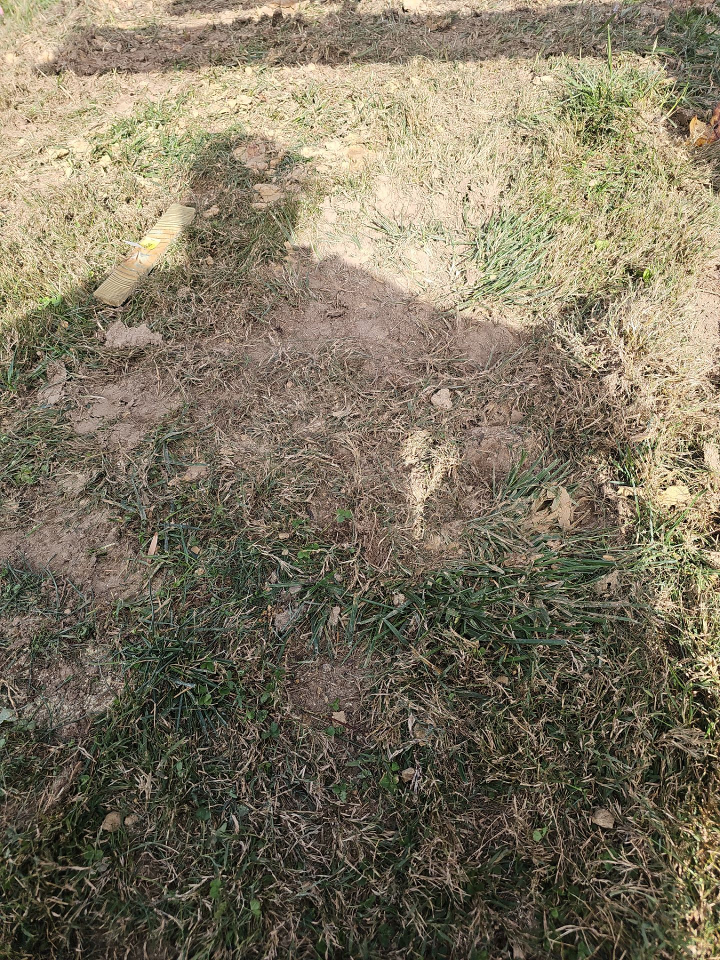 Stamped concrete and redeck  by Cousins Roofing Siding & Decks