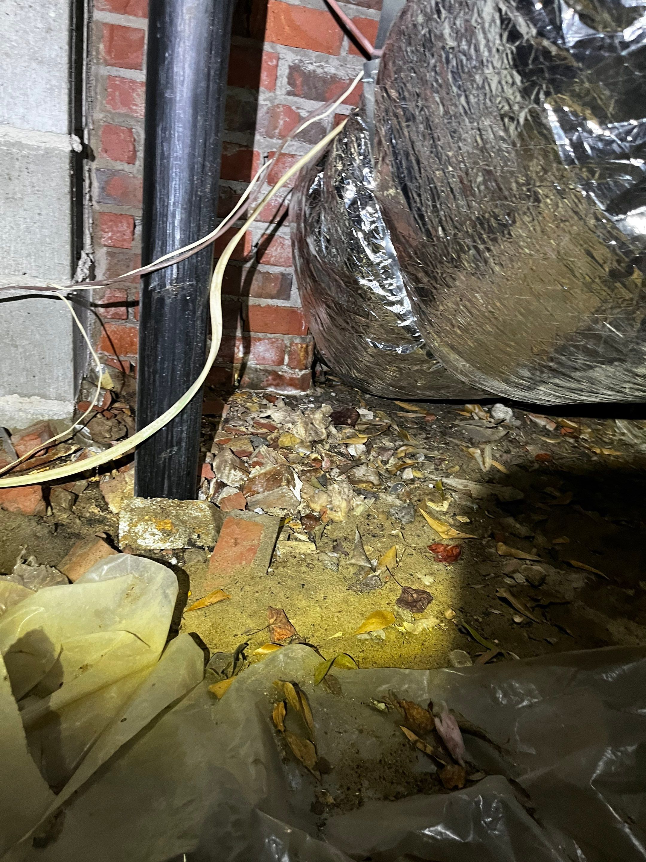 Impact Choice Encapsulation with new piers and crawlspace door. by Impact Crawlspace
