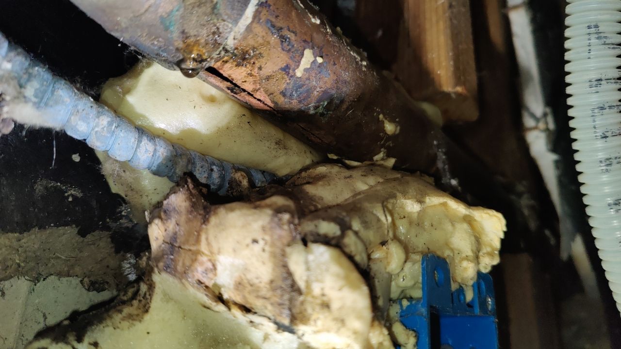 Mold Damage by Accountable Home Services