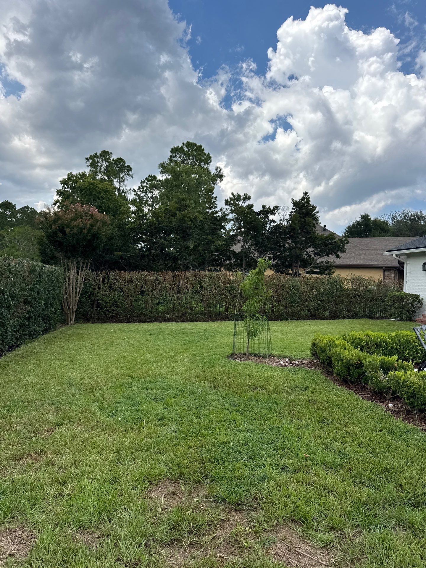 Deerwood Resident | Shrub Trimming by ProGreen Services