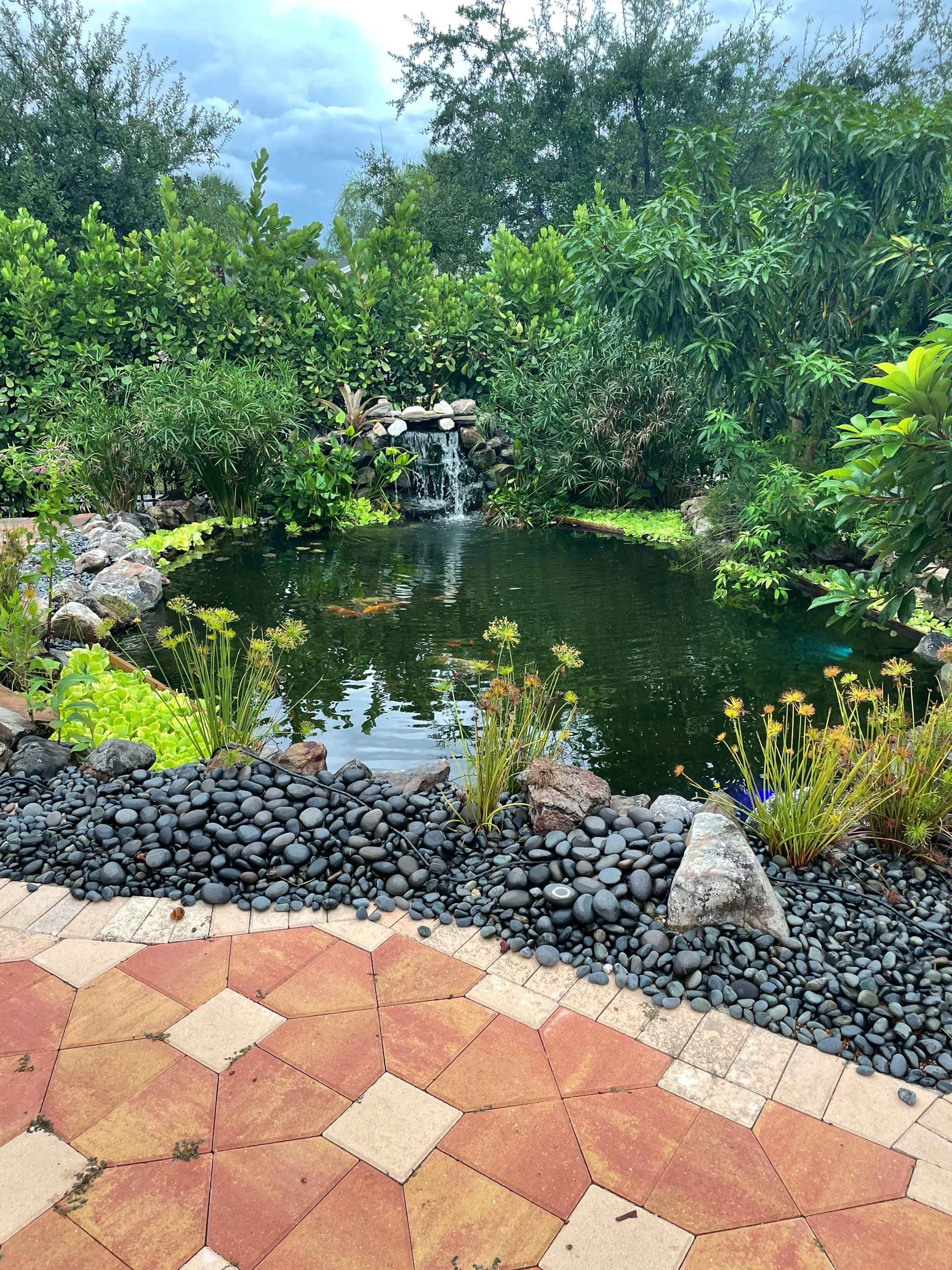 Gorgeous Koi Pond in Palmetto Bay by Nature's Dream Landscape and Tree Service