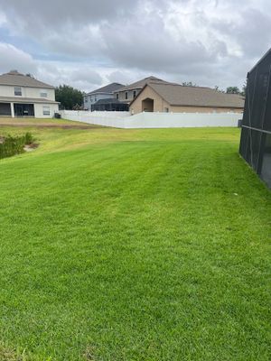 Zoysia Lawn Rehab