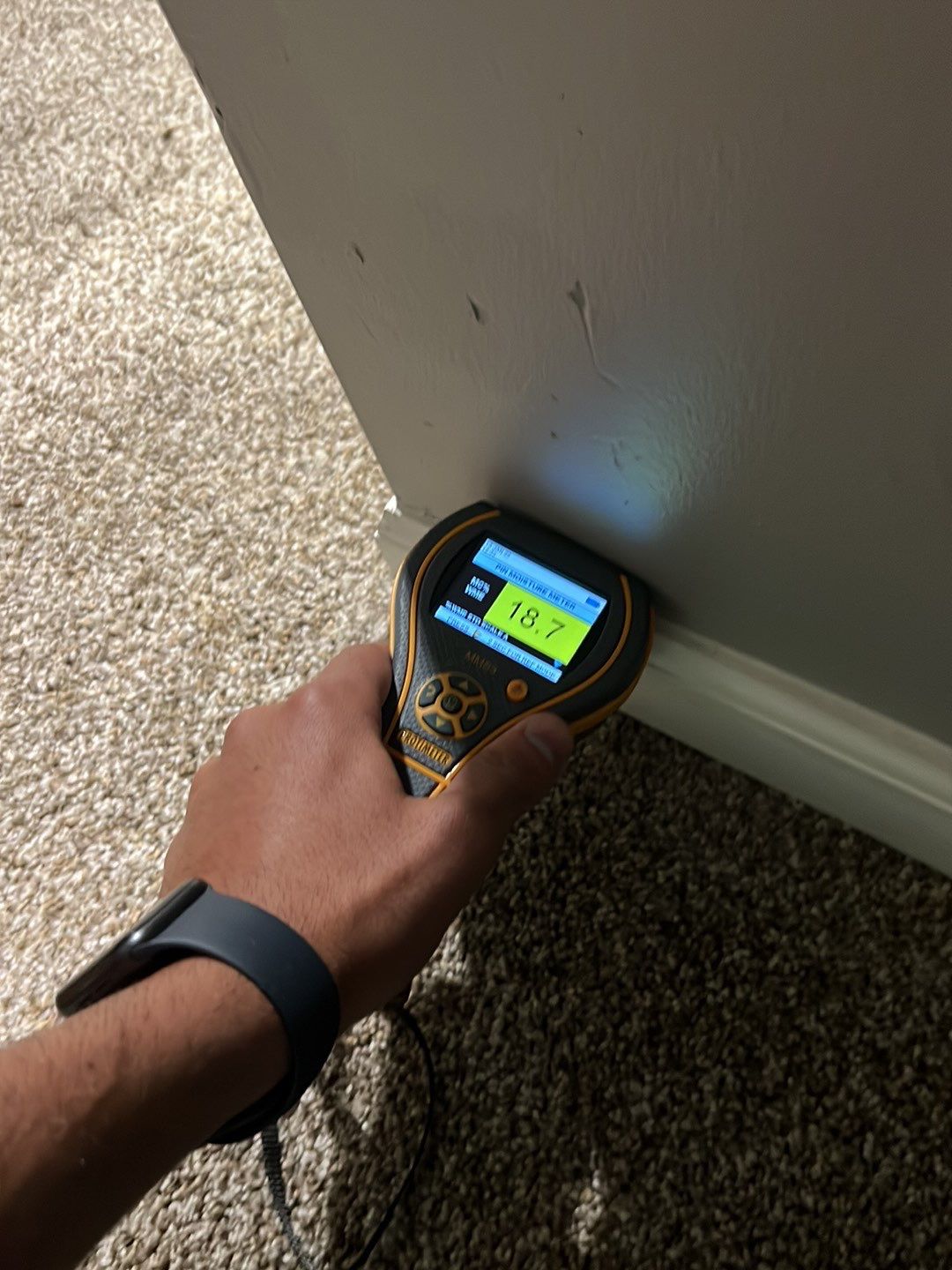 Project in City of the Village of Clarkston by EzDry Water Mitigation & Property Restoration