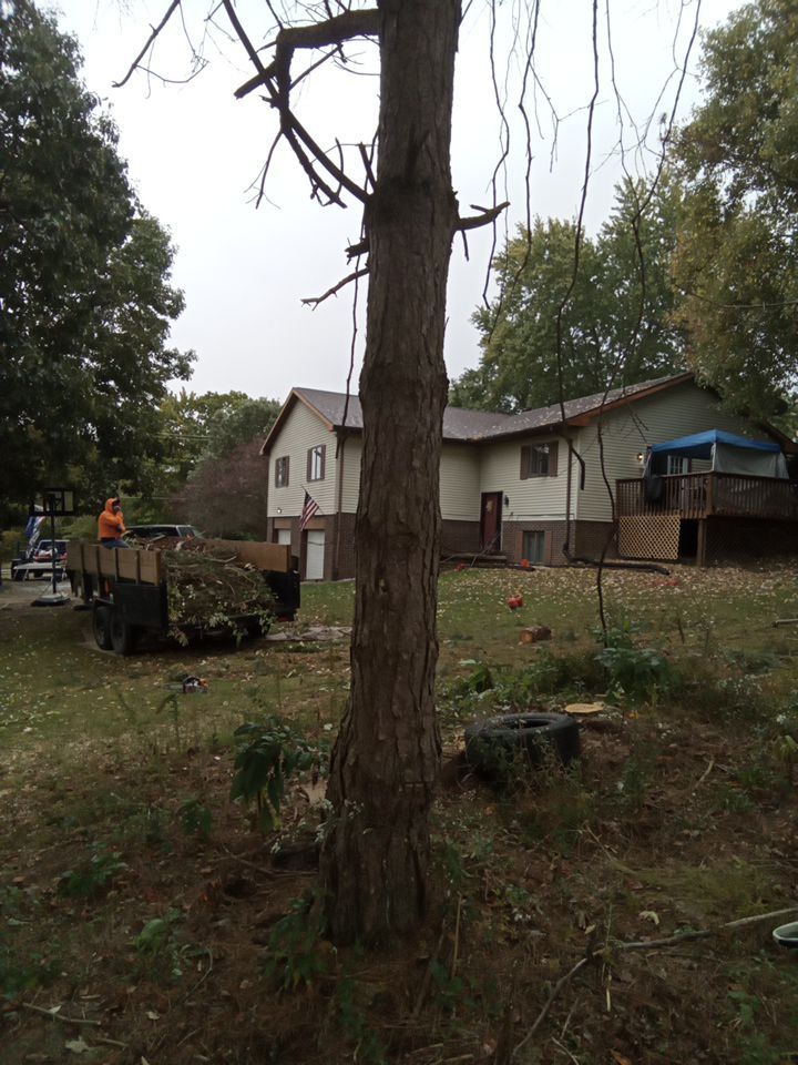 Tree Removal using Tree Removal by Mike Jones & Sons Tree Service LLC 