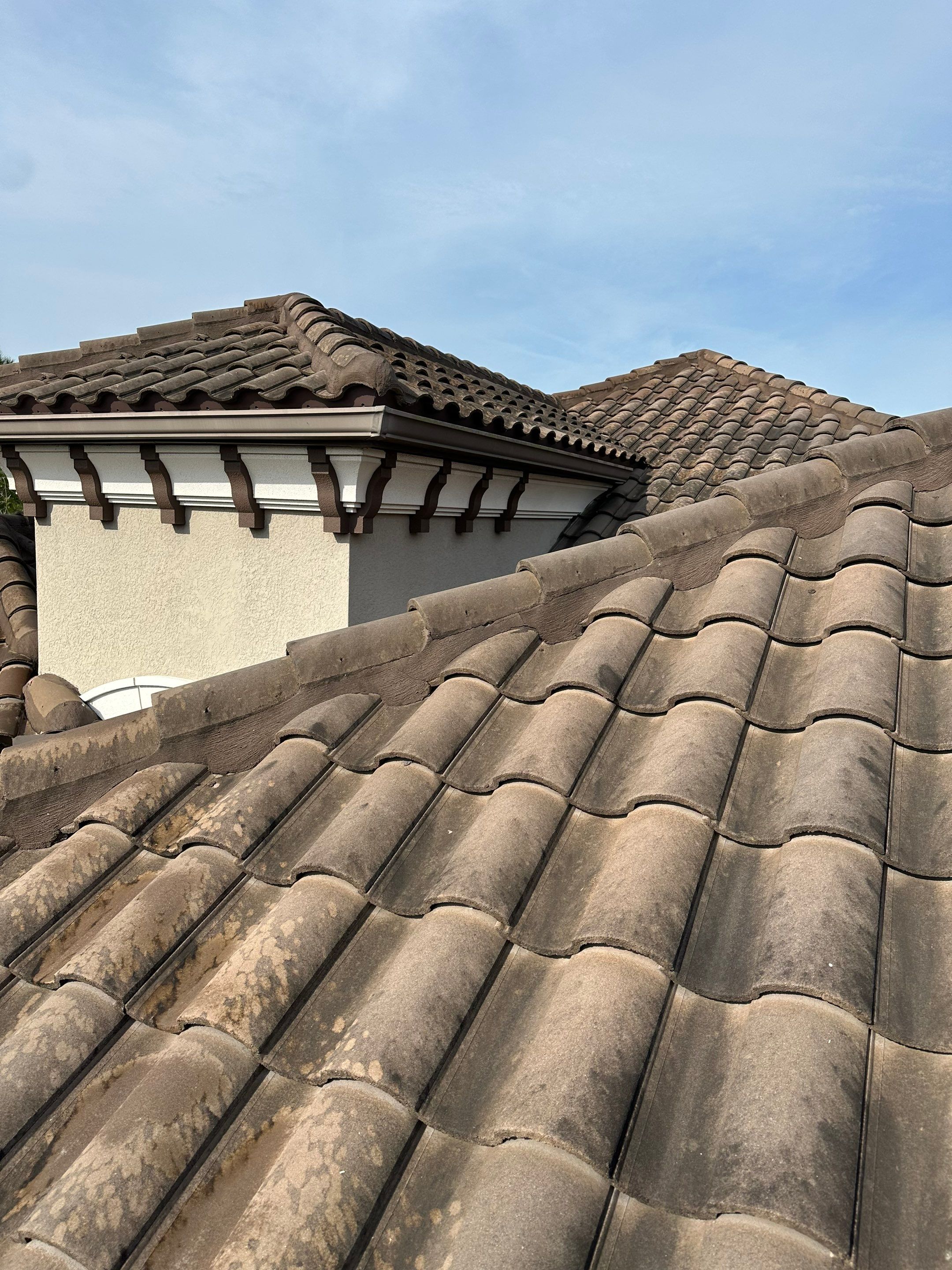 Concrete Tile Roof, Paver Pool Deck, Screen Enclosure & Driveway Cleaning in Artisan Lakes Esplanade, Palmetto, FL | Sunshine AquaWash by Sunshine AquaWash