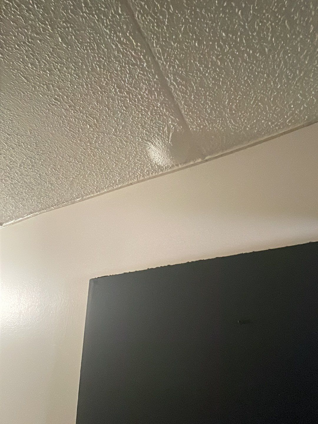 Project in Detroit by EzDry Water Mitigation & Property Restoration