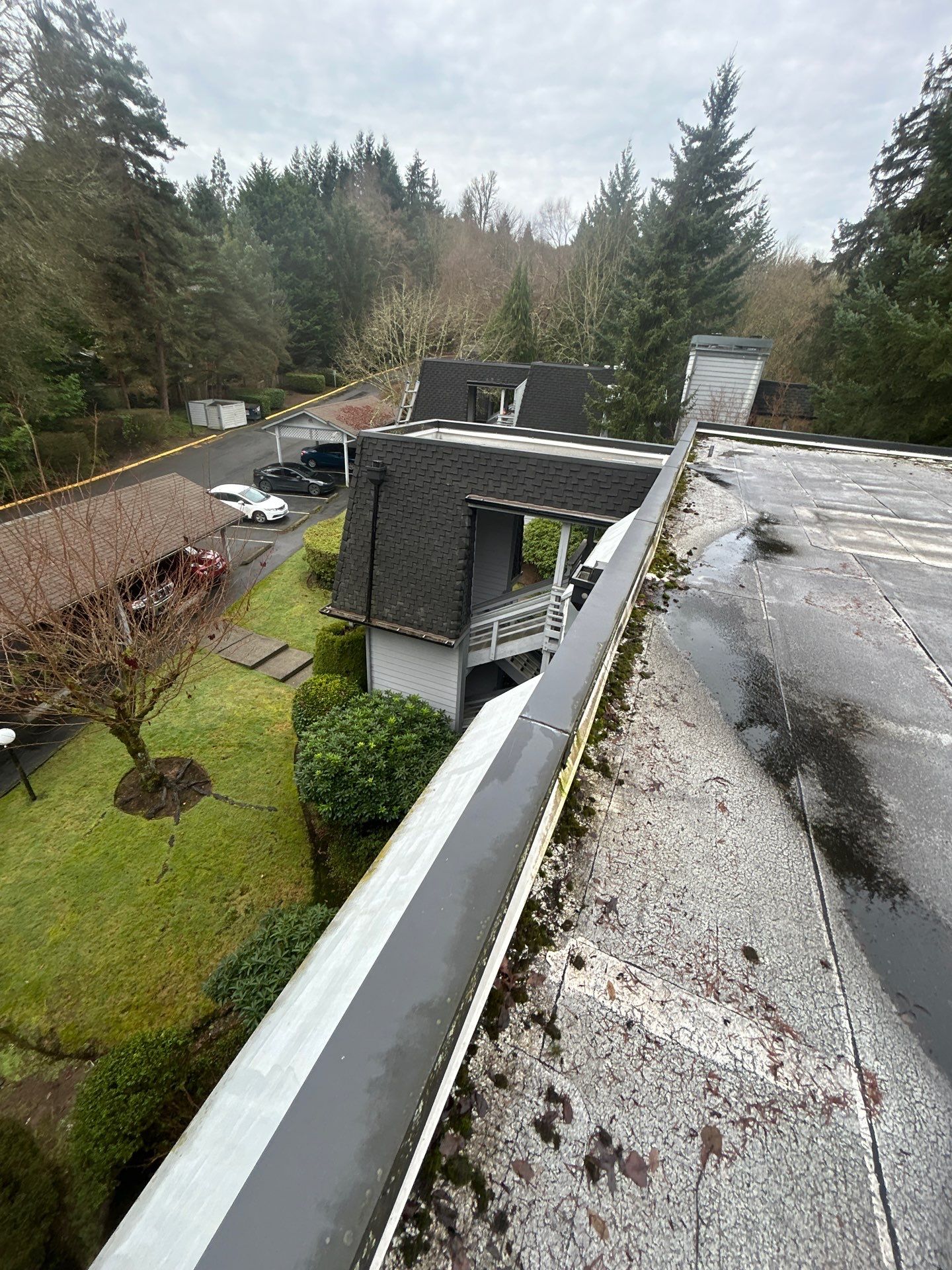 Project in Kirkland by Peaks and Valleys Construction