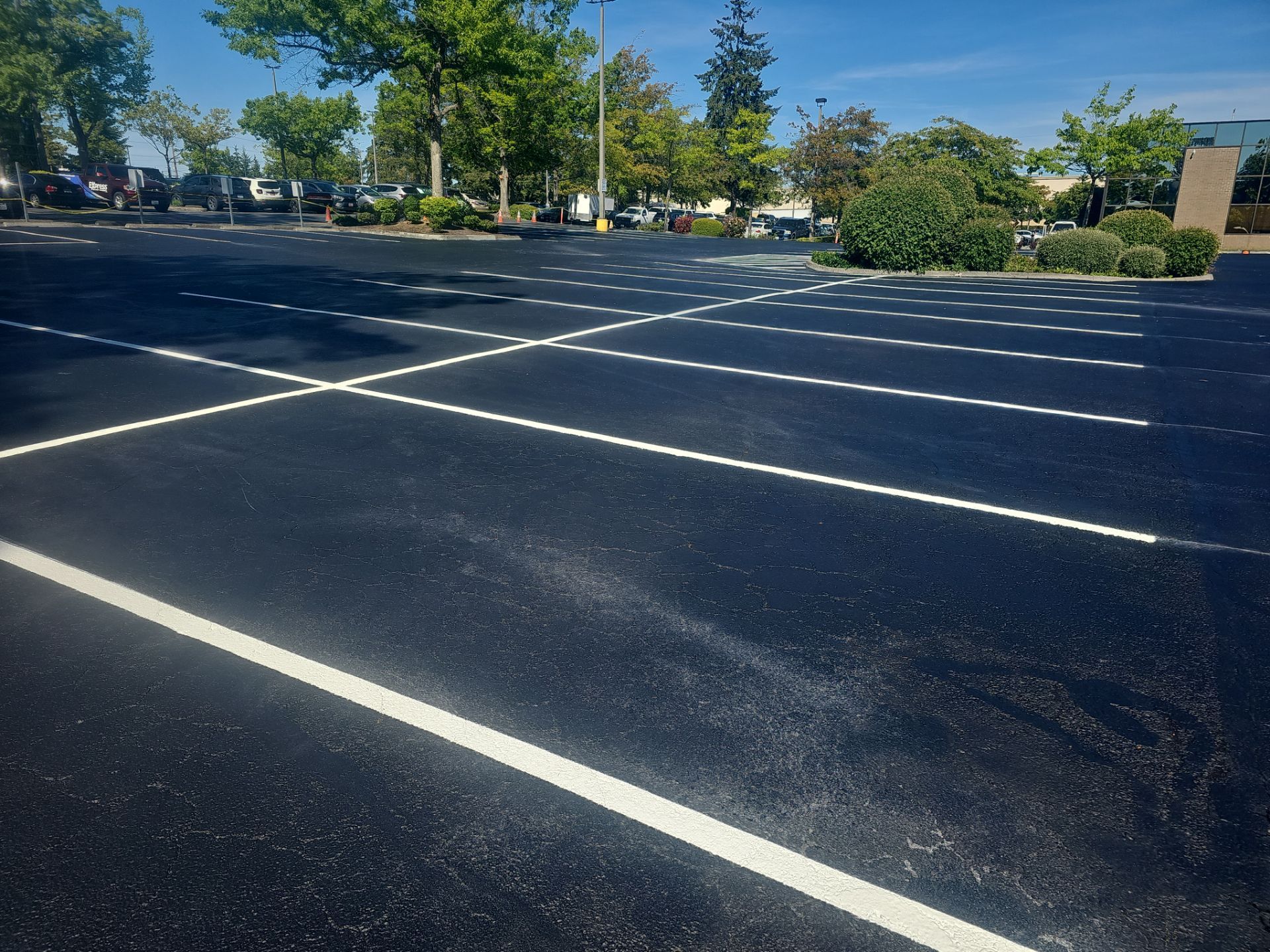 Sealcoat Parking Lot Renovation | Everett  by Jireh Asphalt & Concrete Inc 