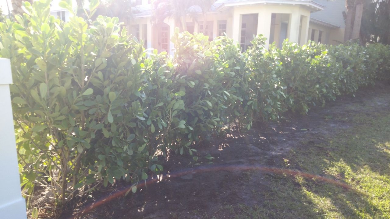 Hazard  by The Landscaping People