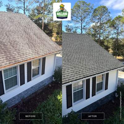 Shingle Roof Cleaning