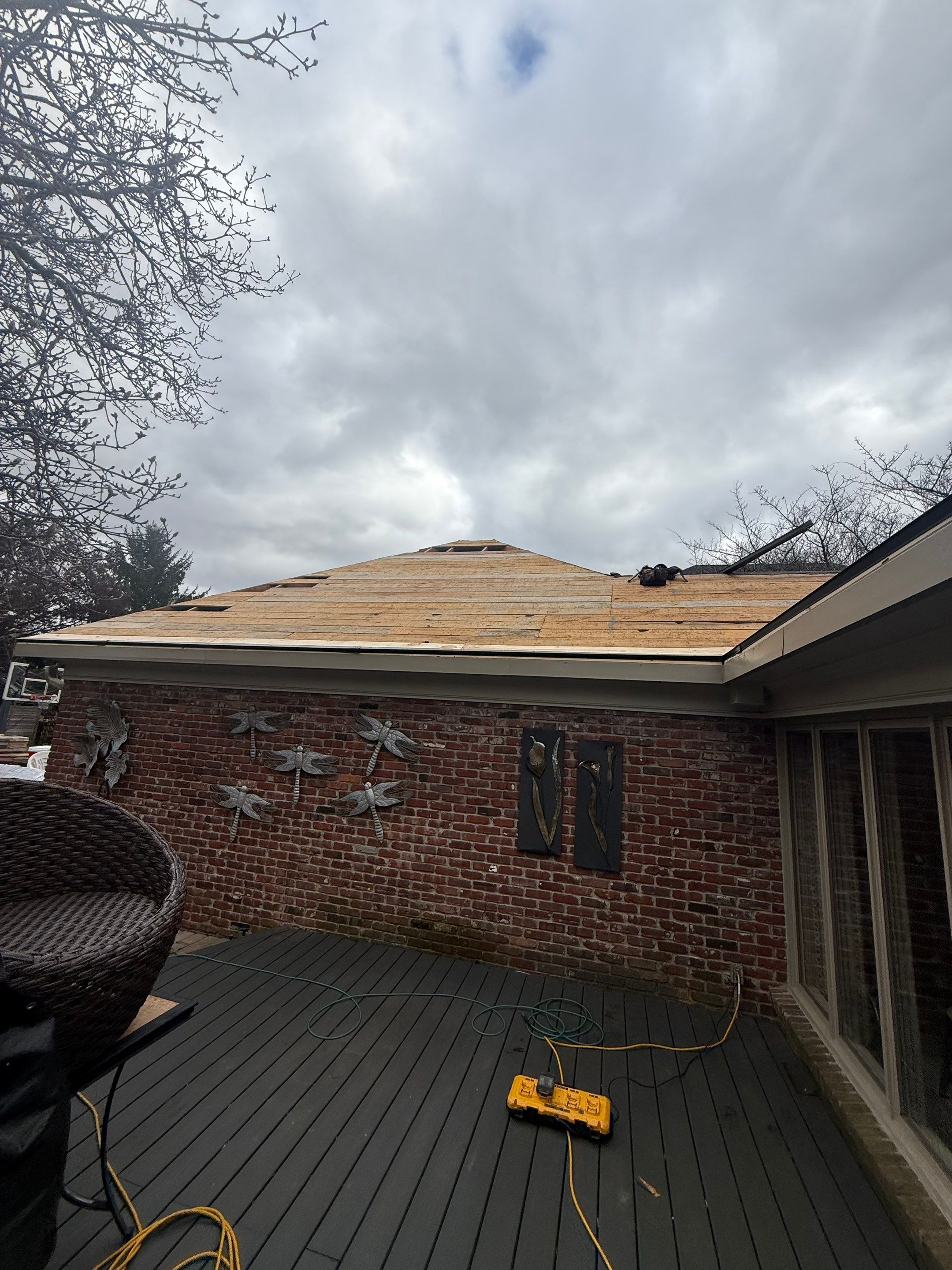 Project in Louisville, KY by GreenForce Restoration