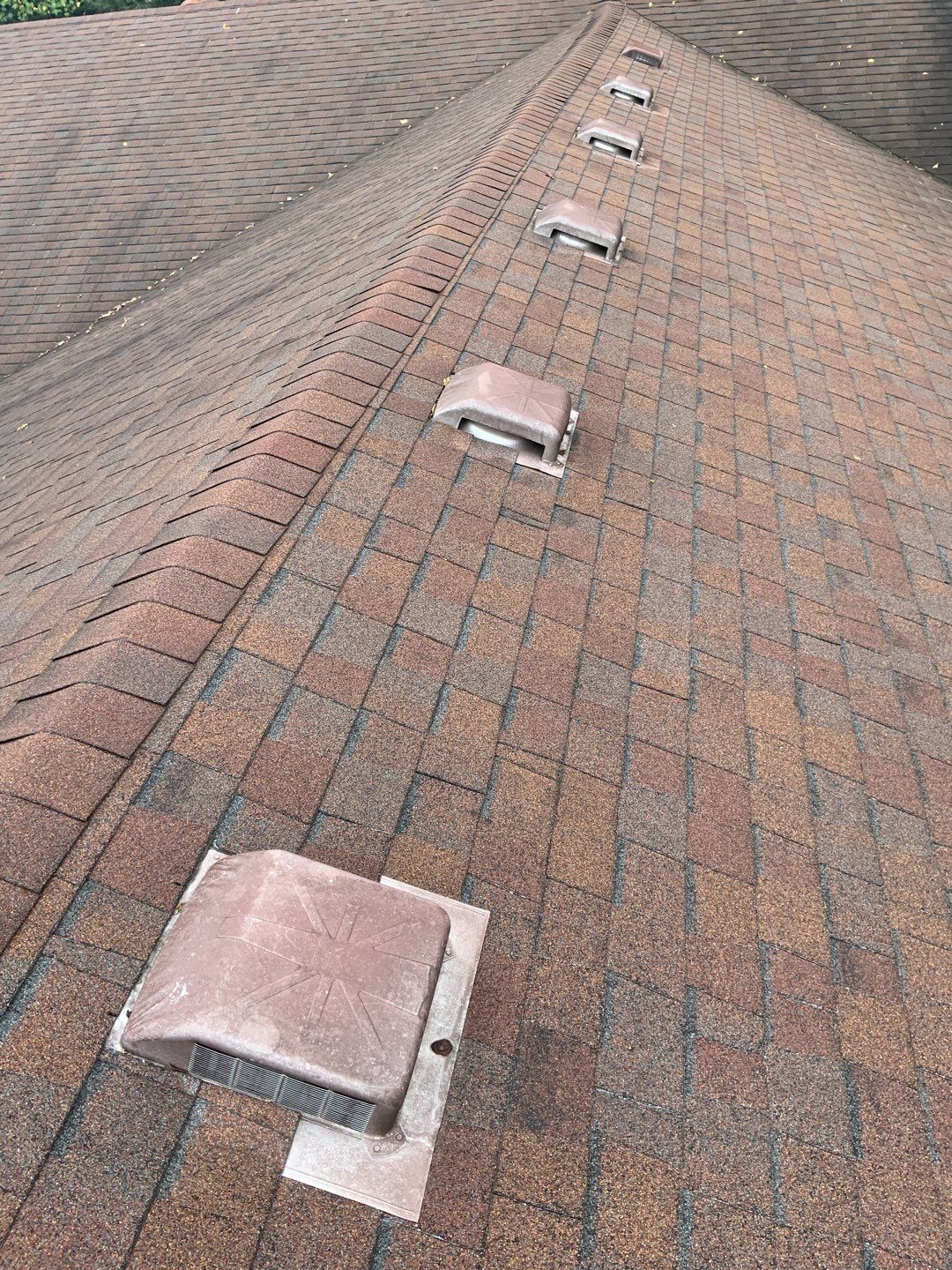 Brand: Atlas Pinnacle Color: Pristine Scotchgard Sienna Drip: Musket Brown by Eagle Eye Roofing