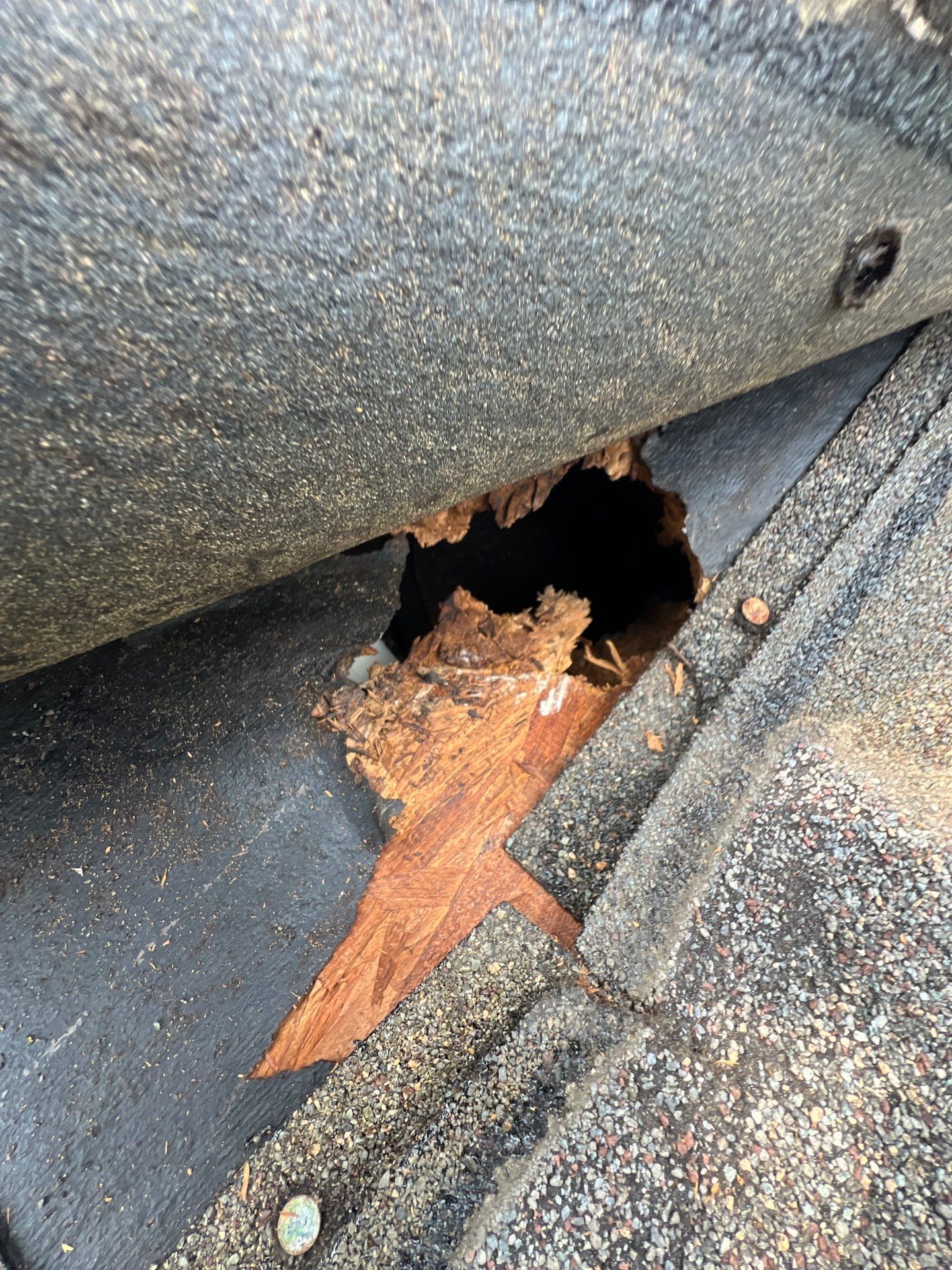 Roof Repair Spring by Roof Repair Company
